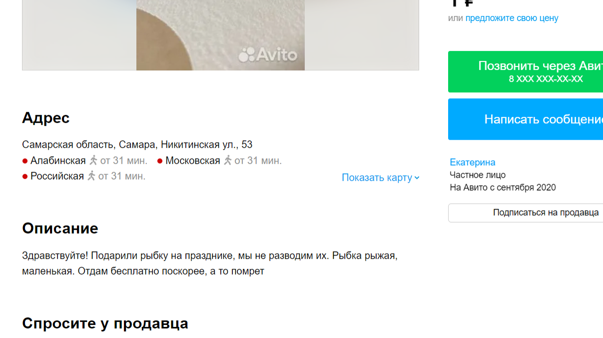 Беспечный подарок | Пикабу