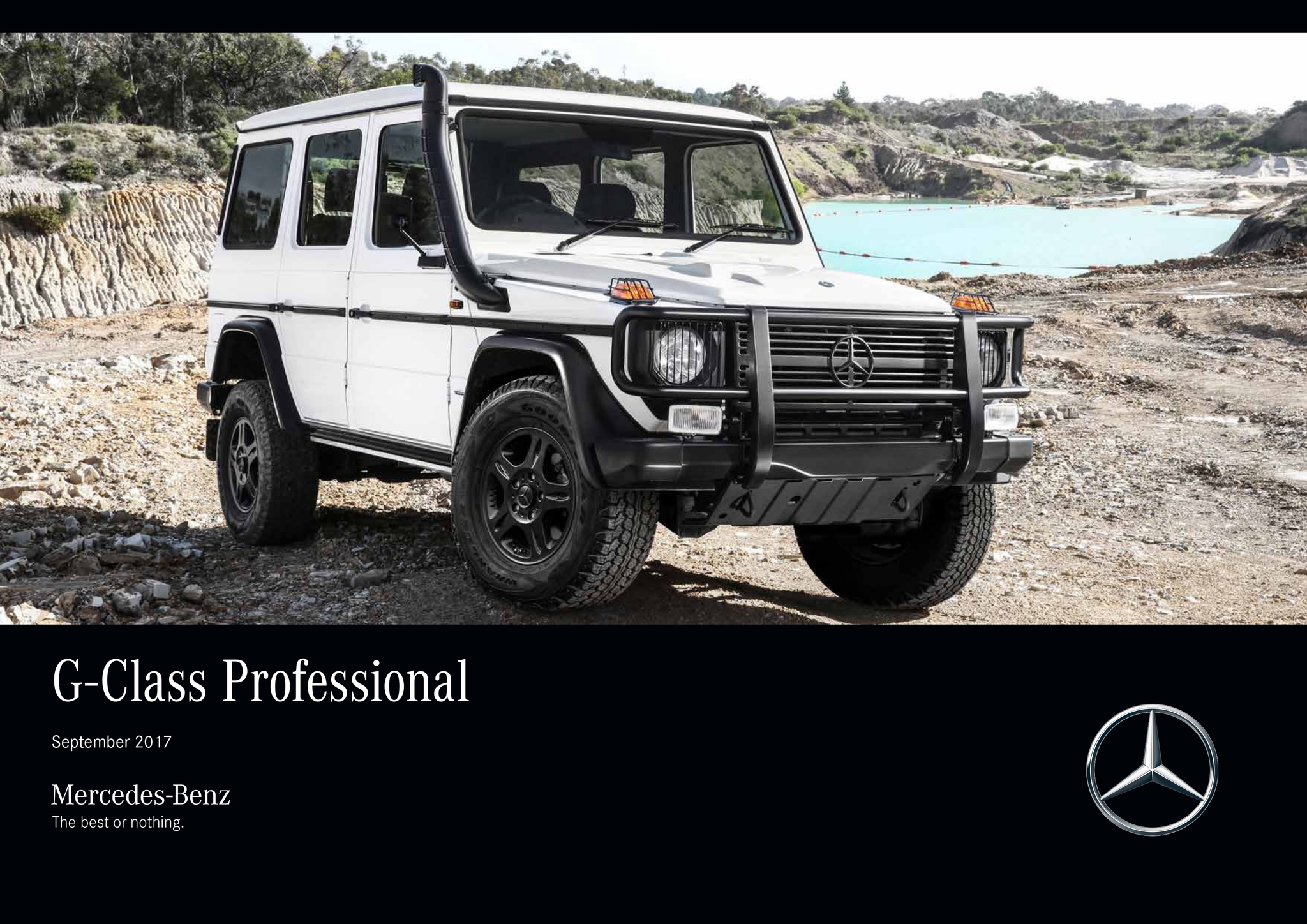 Брошюра Mercedes G Professional за 2017 год | Пикабу