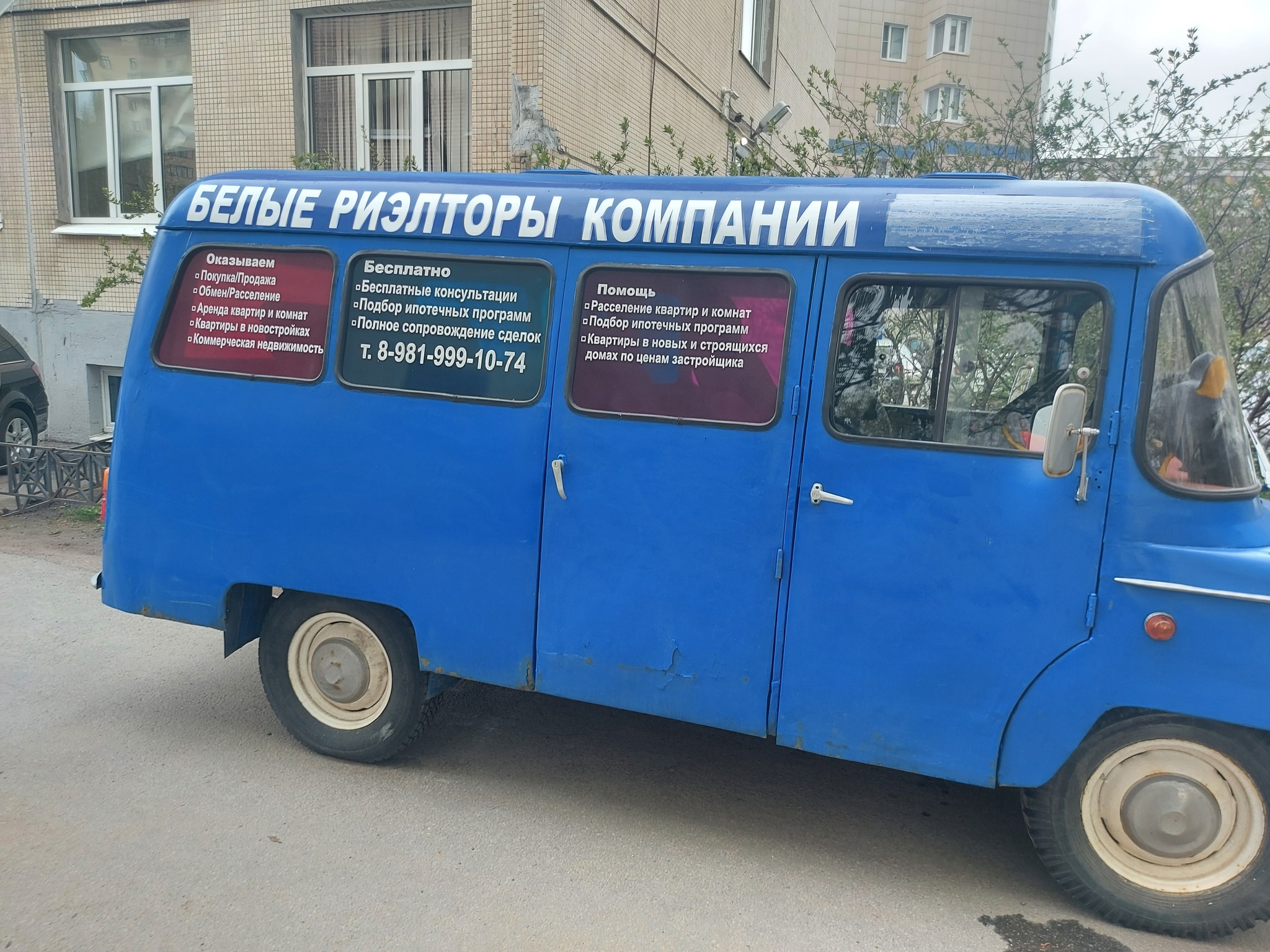 Белый участковый риэлтор | Пикабу