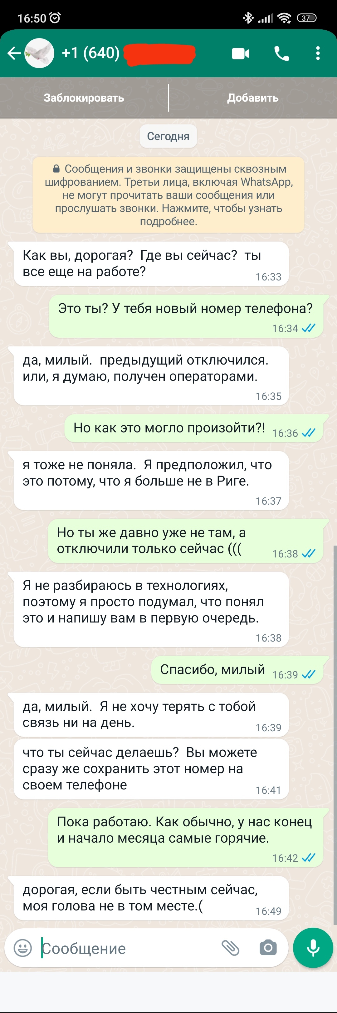 Продолжение поста «Не обещайте деве юной (и не очень) любови вечной на  земле» | Пикабу