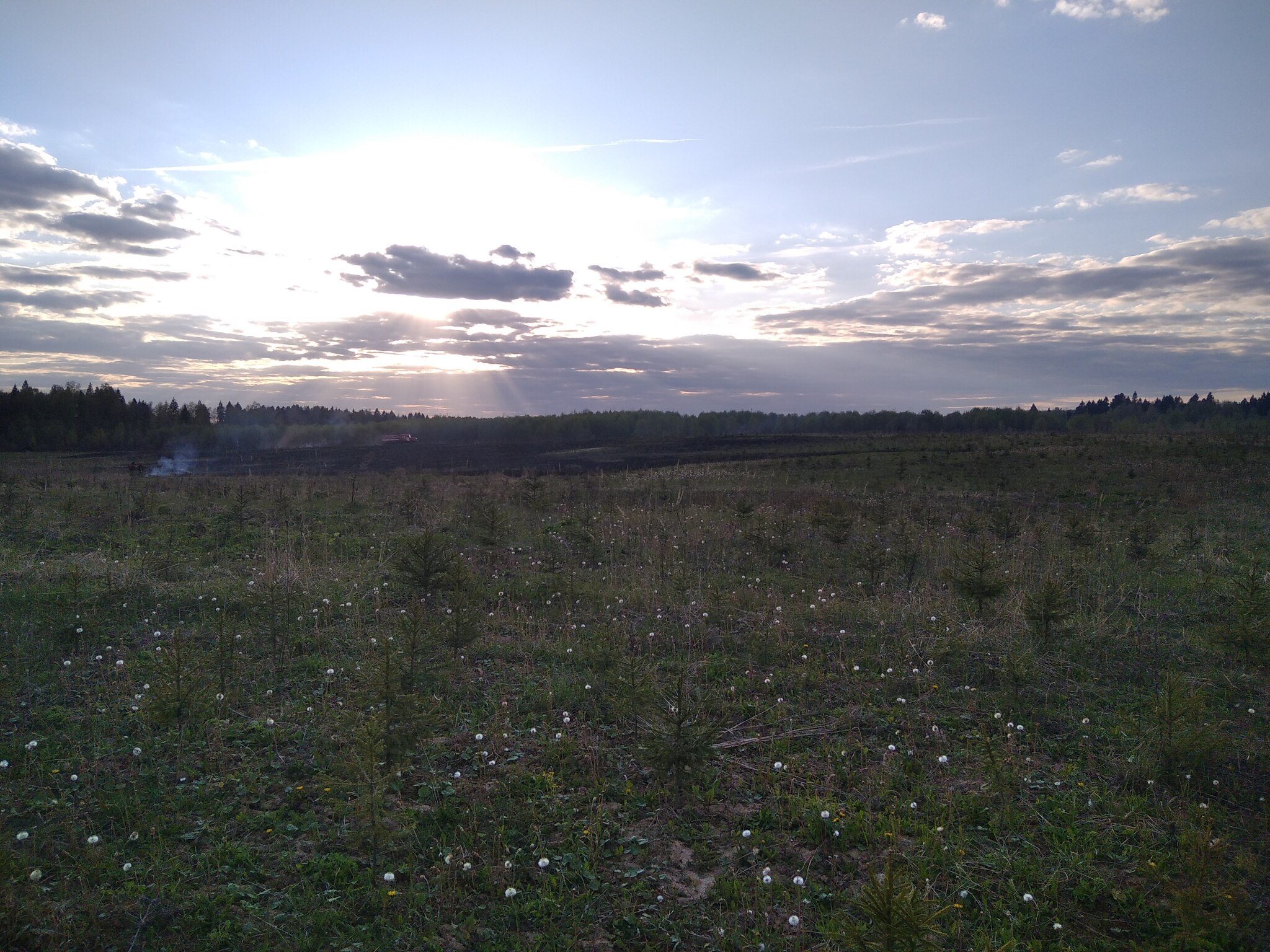 Московская область, пожар на поле | Пикабу