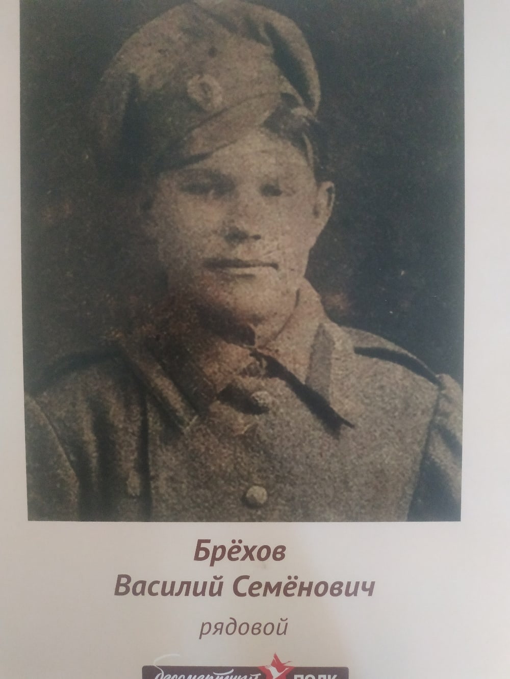 Бессмертный полк | Пикабу