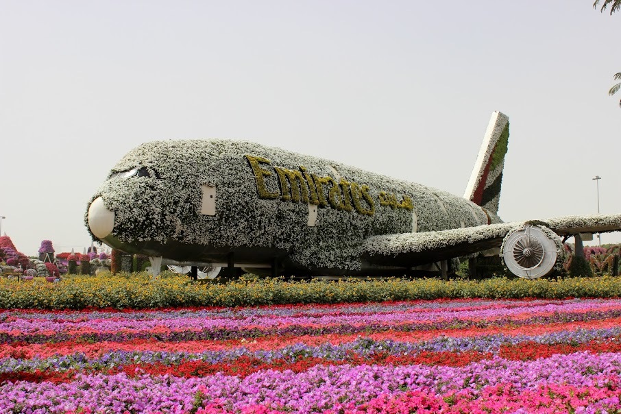 Самый большой в мире природный парк цветов: “Dubai Miracle Garden” | Пикабу