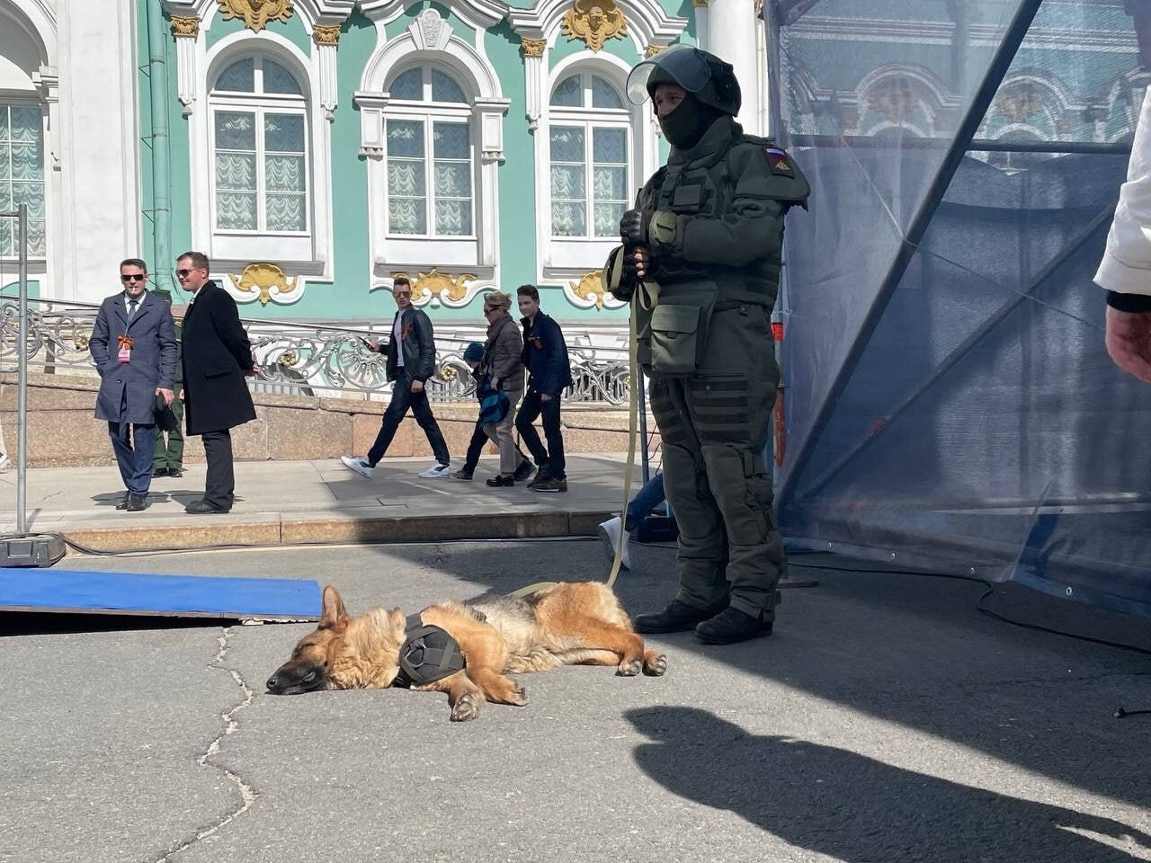 Служили два товарища: истории из жизни, советы, новости, юмор и картинки —  Лучшее | Пикабу