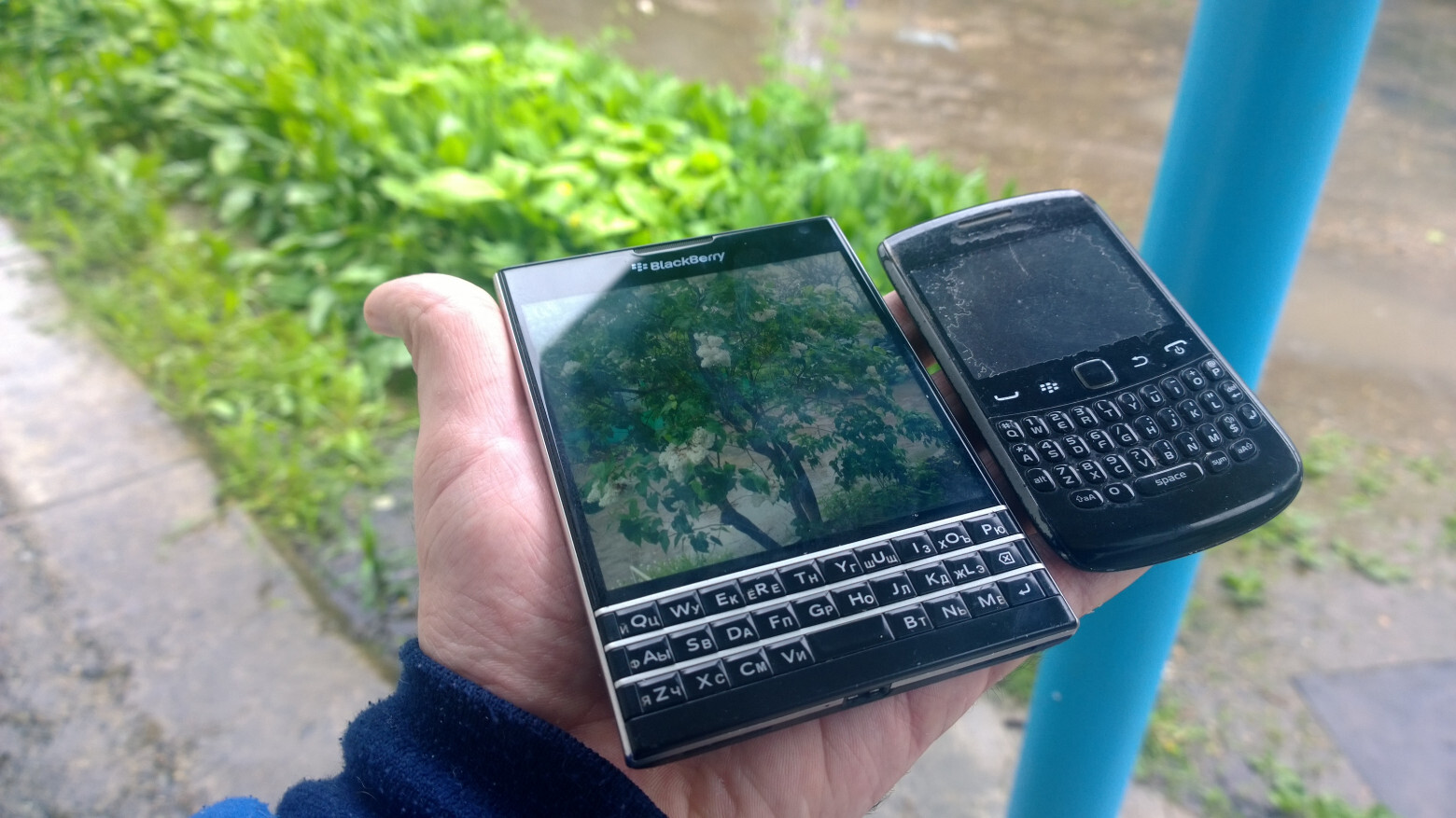 BlackBerry Passport за 2.500 рублей в 2023 — шедевральный QWERTY смартфон.  Справится ли с повседневными задачами? | Пикабу