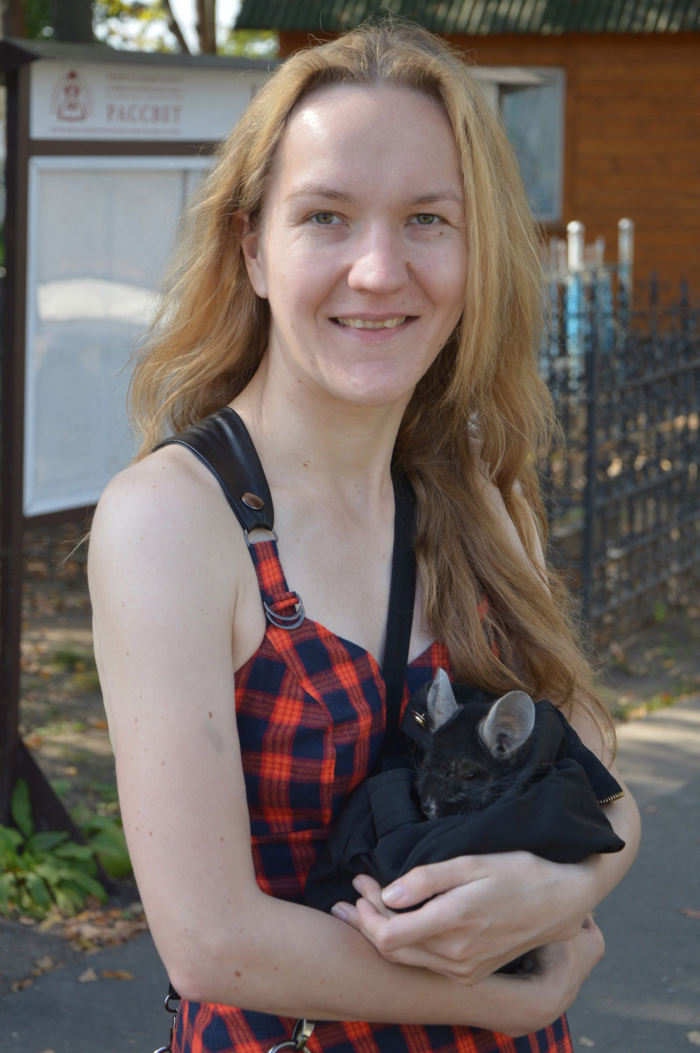 Приключения с шиншиллой | Пикабу