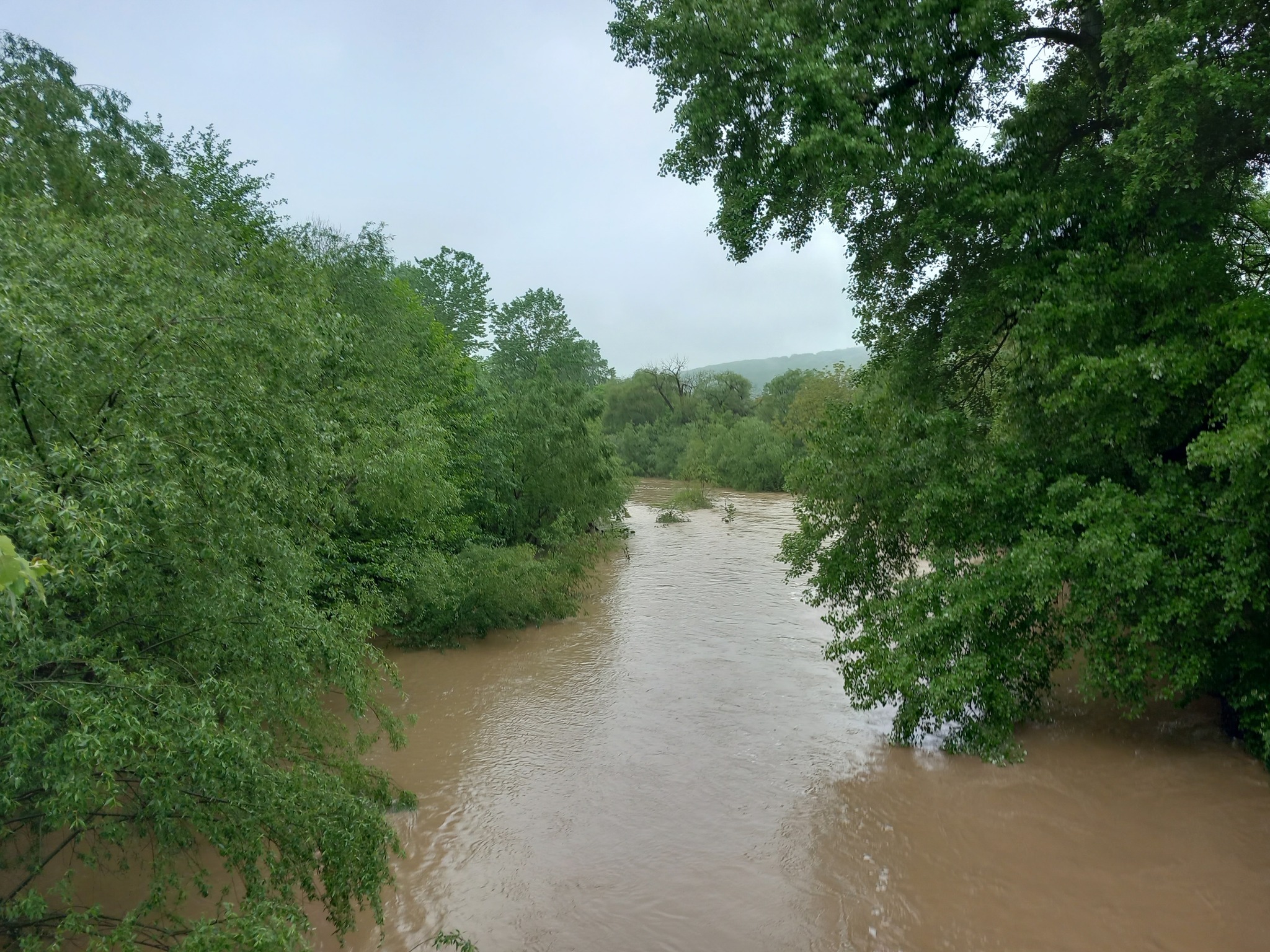 #рифмуюжизнь | Пикабу