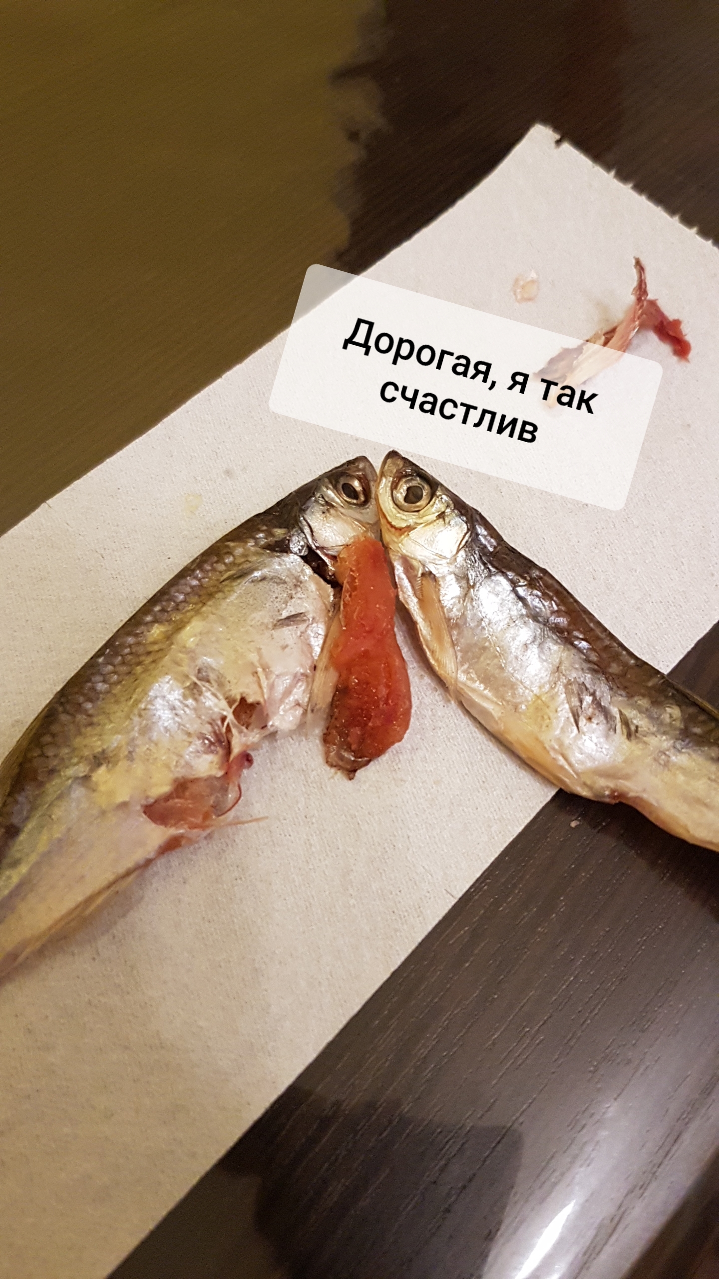 Роды у рыб | Пикабу