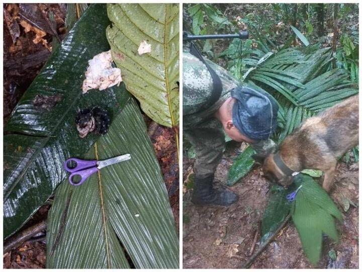 В джунглях Колумбии нашли живыми четырех детей с разбившегося две недели  назад самолета. Самому младшему — 11 месяцев | Пикабу