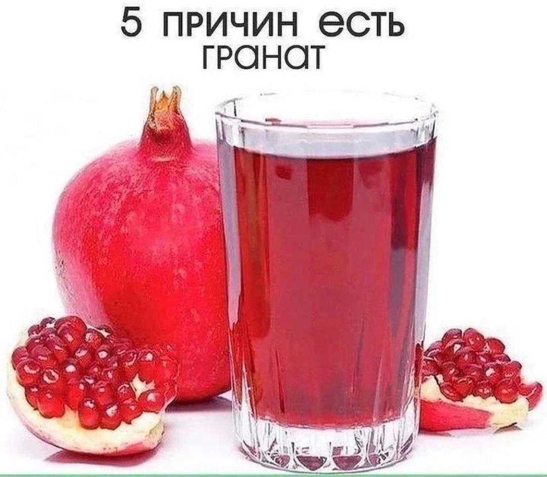 5 причин есть гранат | Пикабу