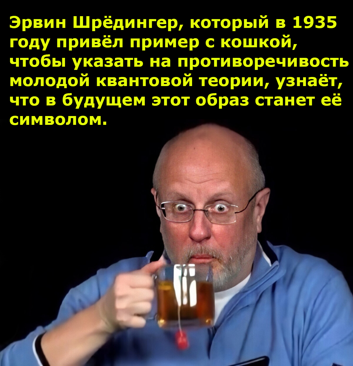 Кошка Шрёдингера | Пикабу