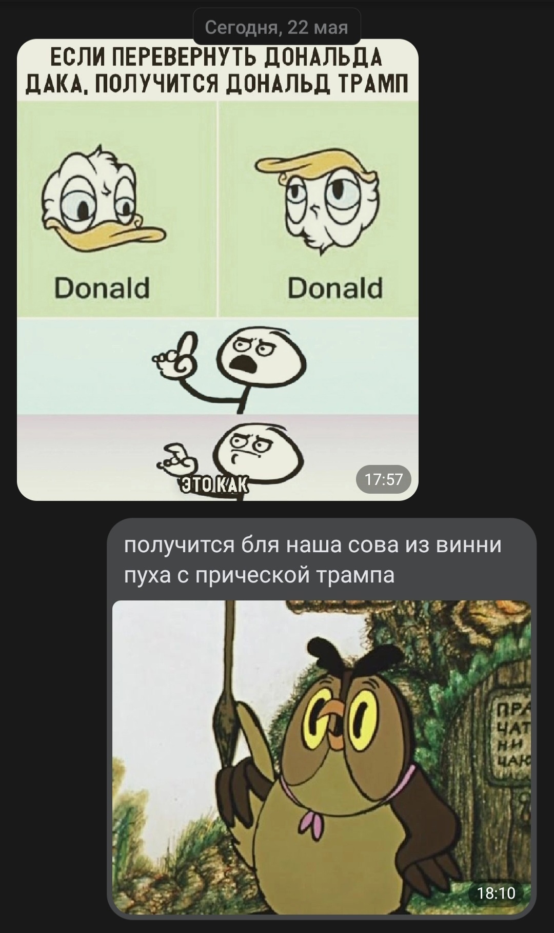 Сова | Пикабу