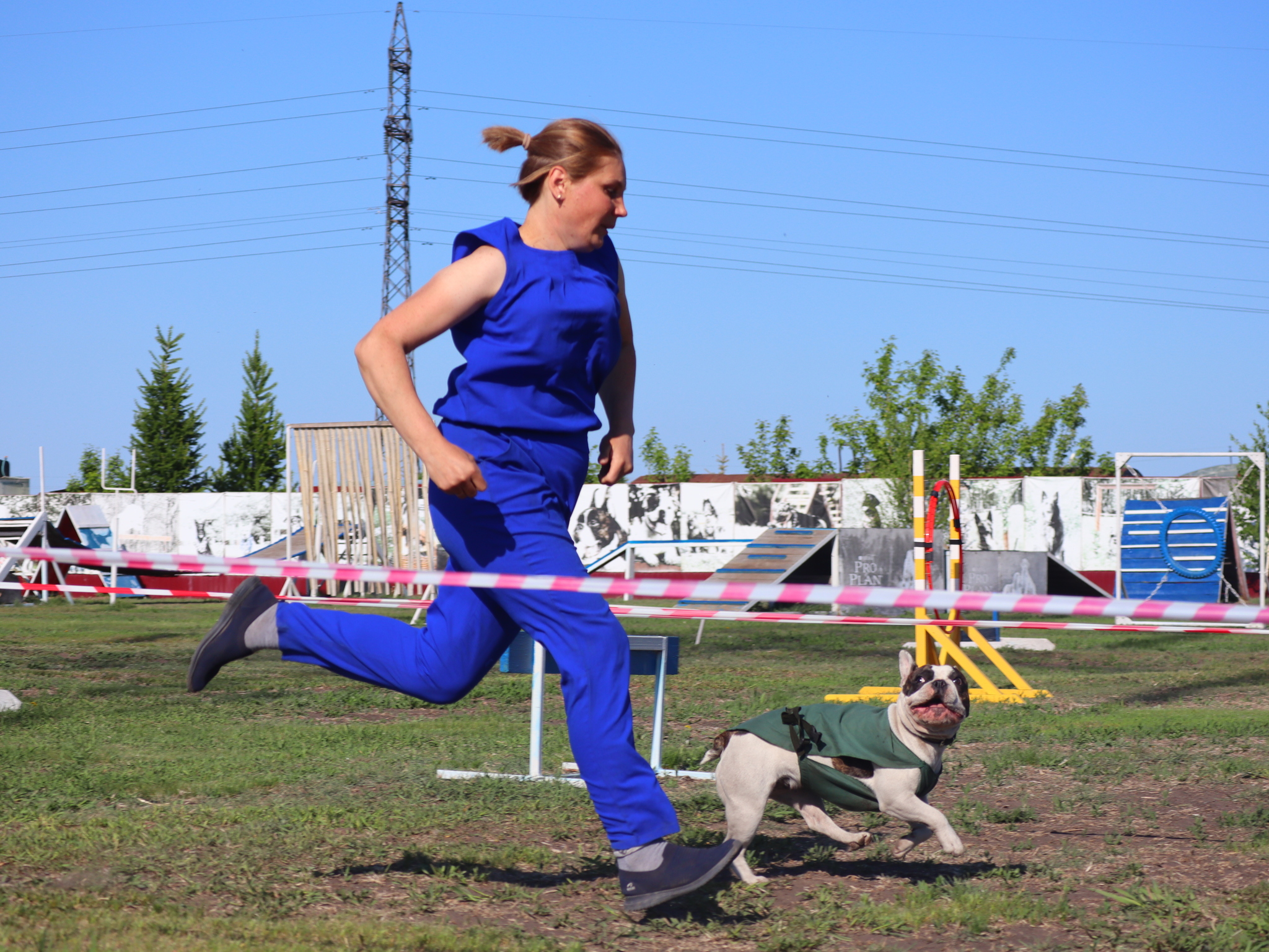 Дрессировка собак в Омске - ОЦССС | Пикабу