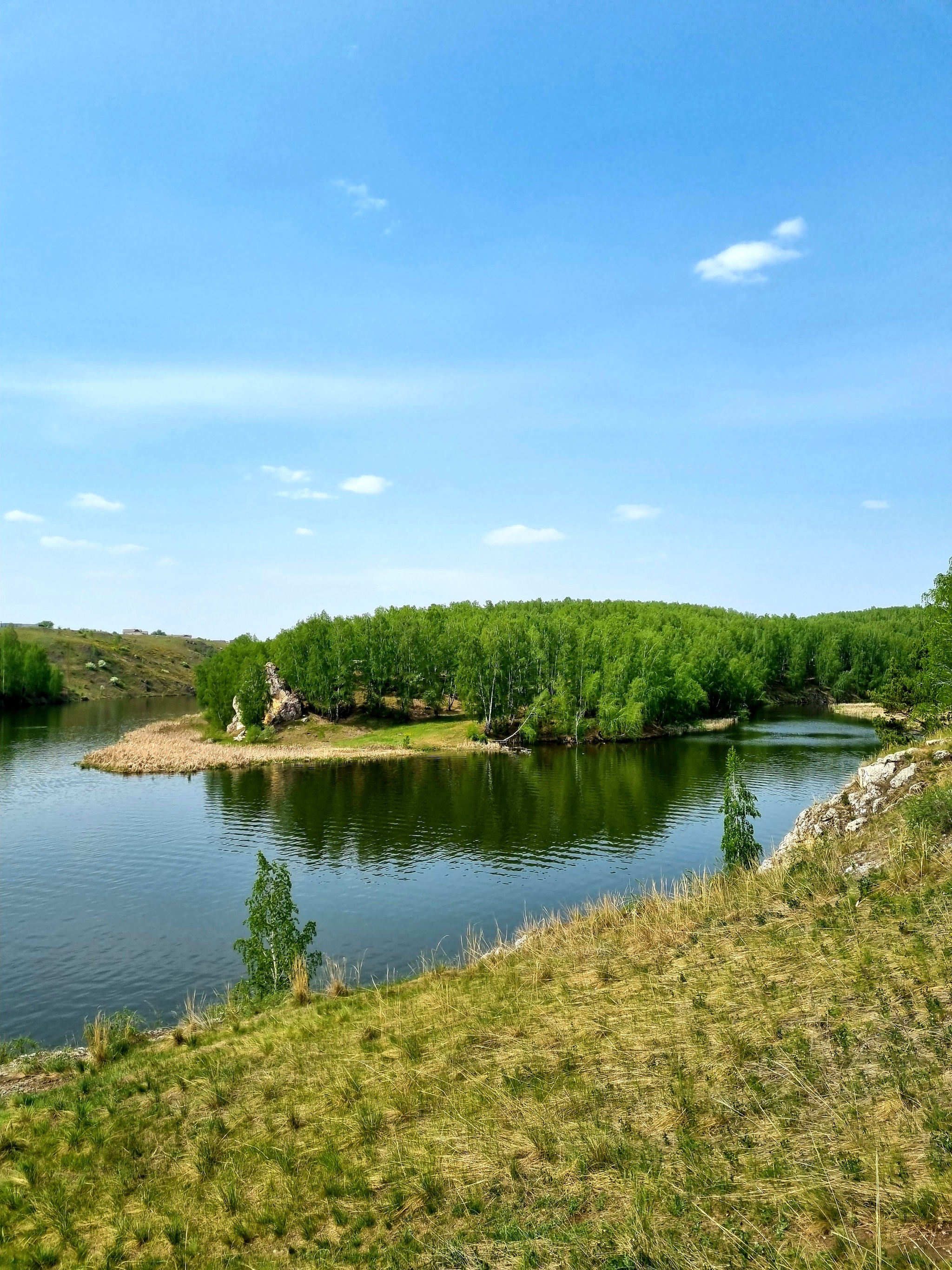 В лесу на Урале | Пикабу