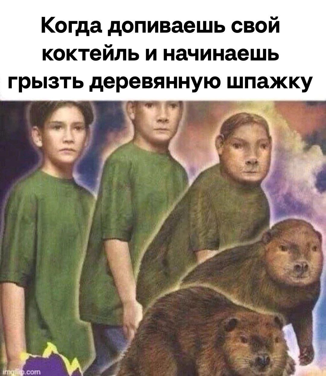 Bober kurwa | Пикабу