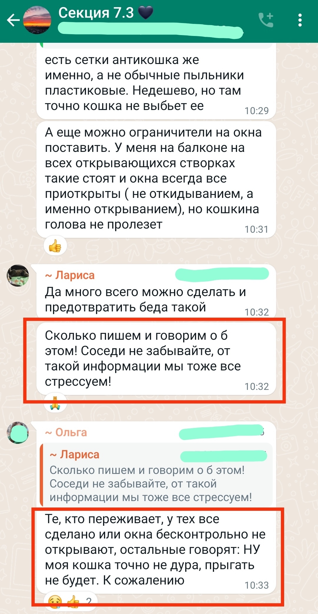 Для всех, кто говорит, что моя кошка не дура, чтобы прыгать из окна | Пикабу