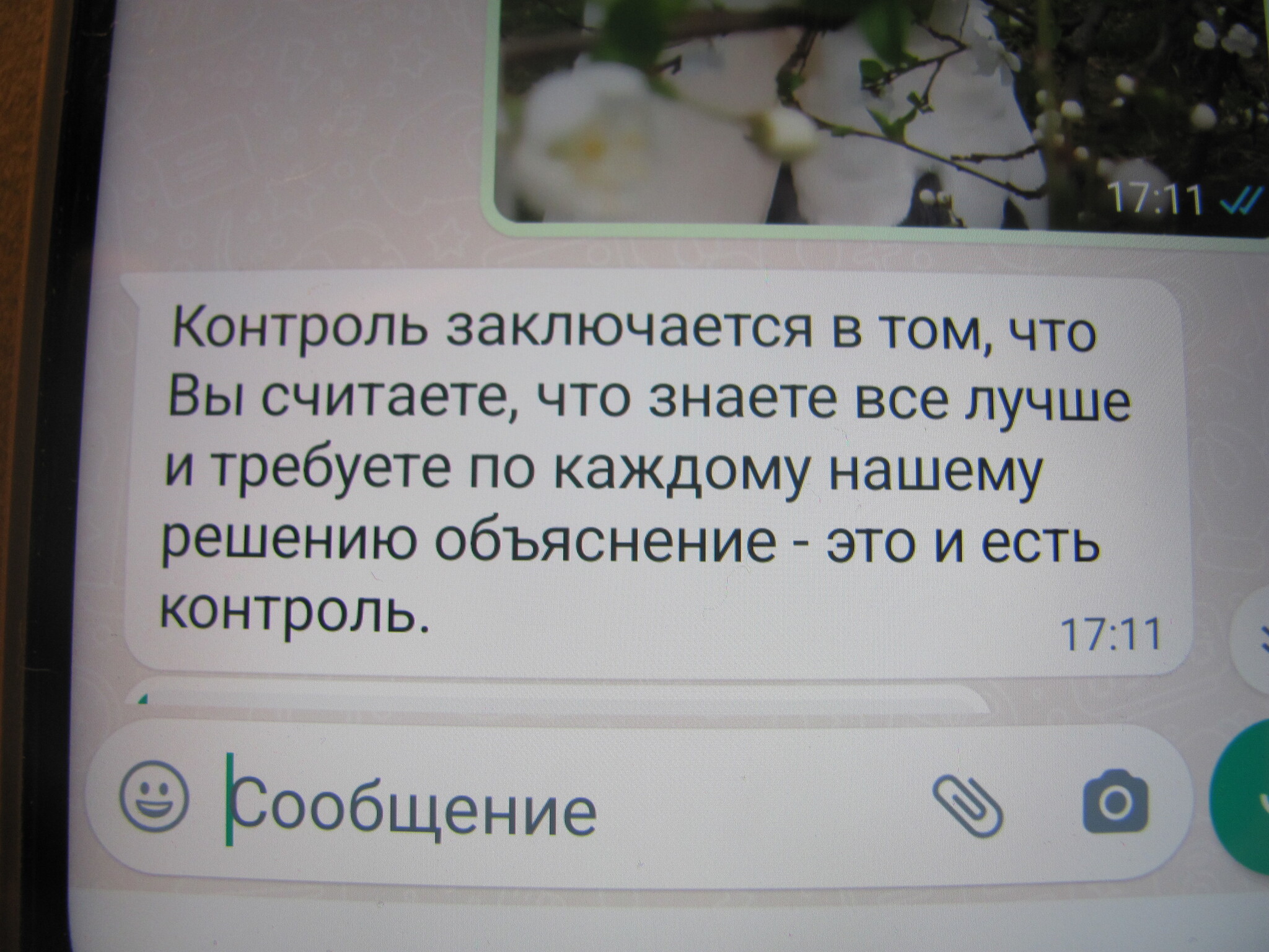 Как я доченьку в модельную студию водила | Пикабу