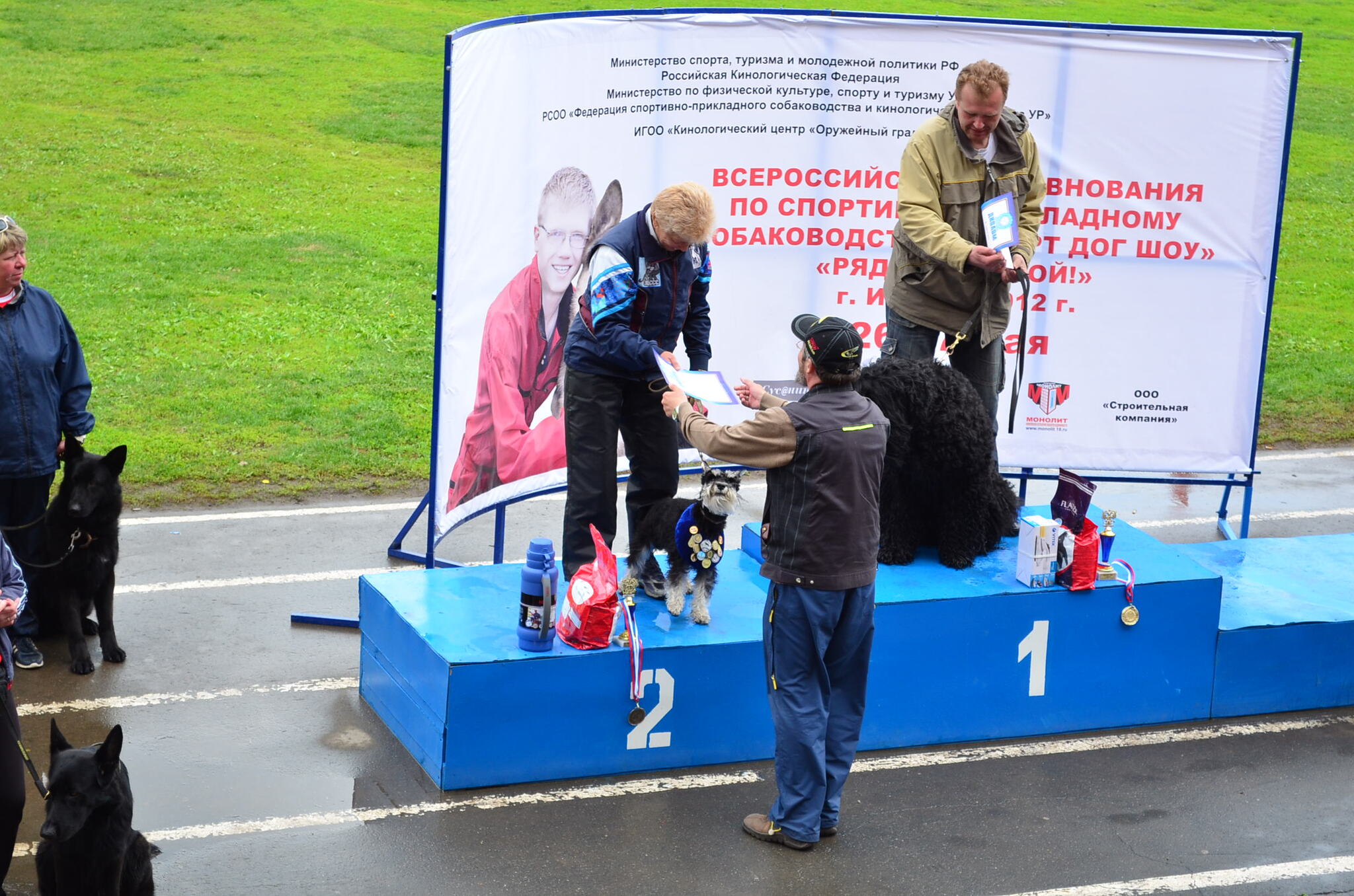 Дрессировка собак в Омске - ОЦССС | Пикабу
