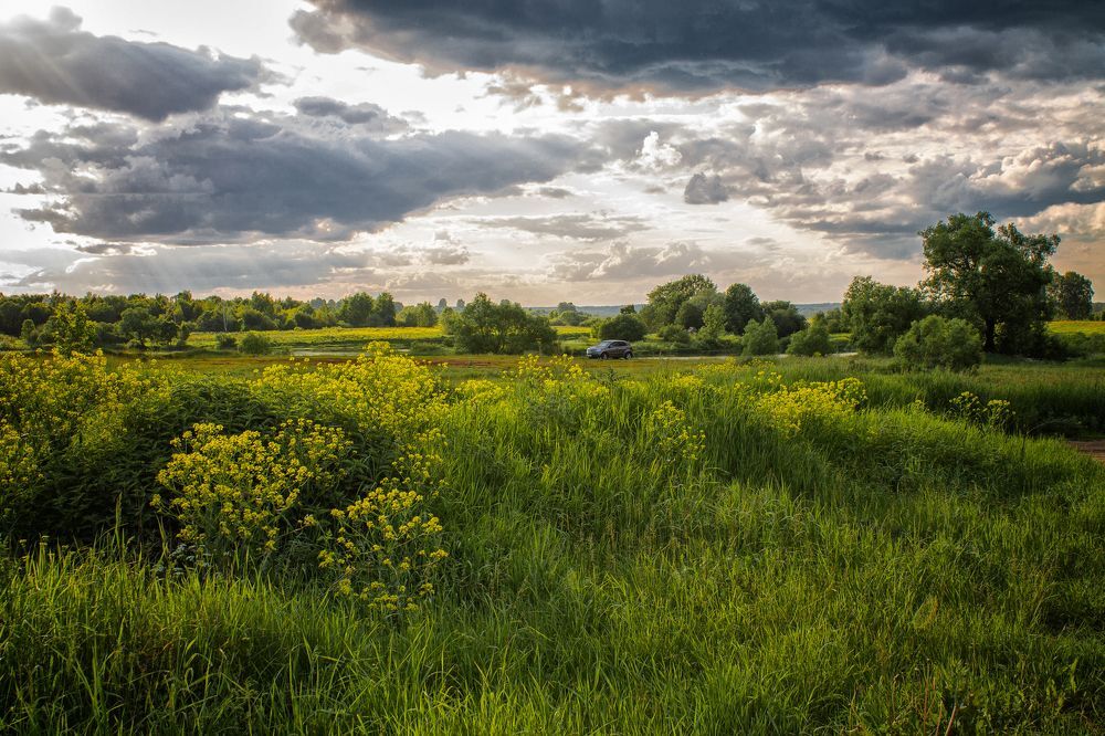 На выпасе... | Пикабу
