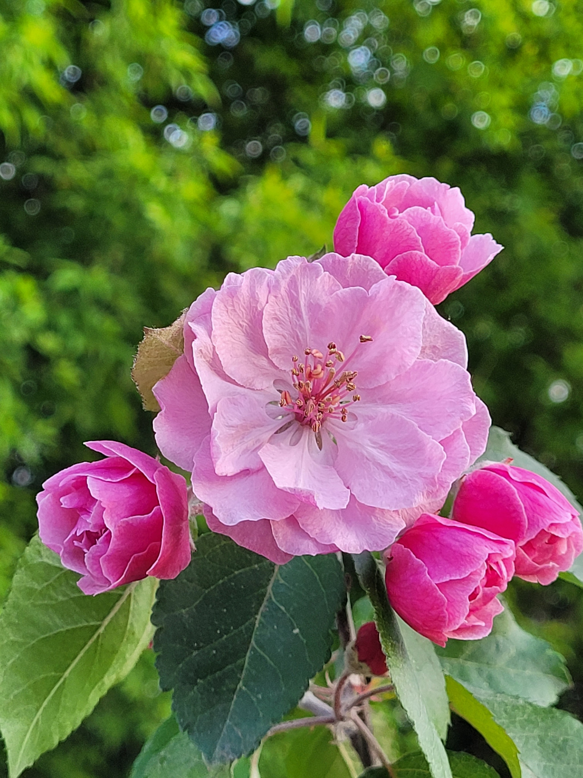 Бунтуем бунт! | Пикабу