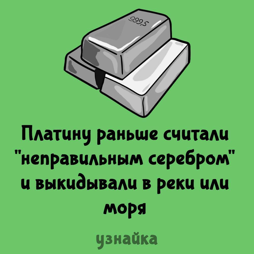 Если тебя ценят, скорее всего ты платина. Подожди и все поймут | Пикабу