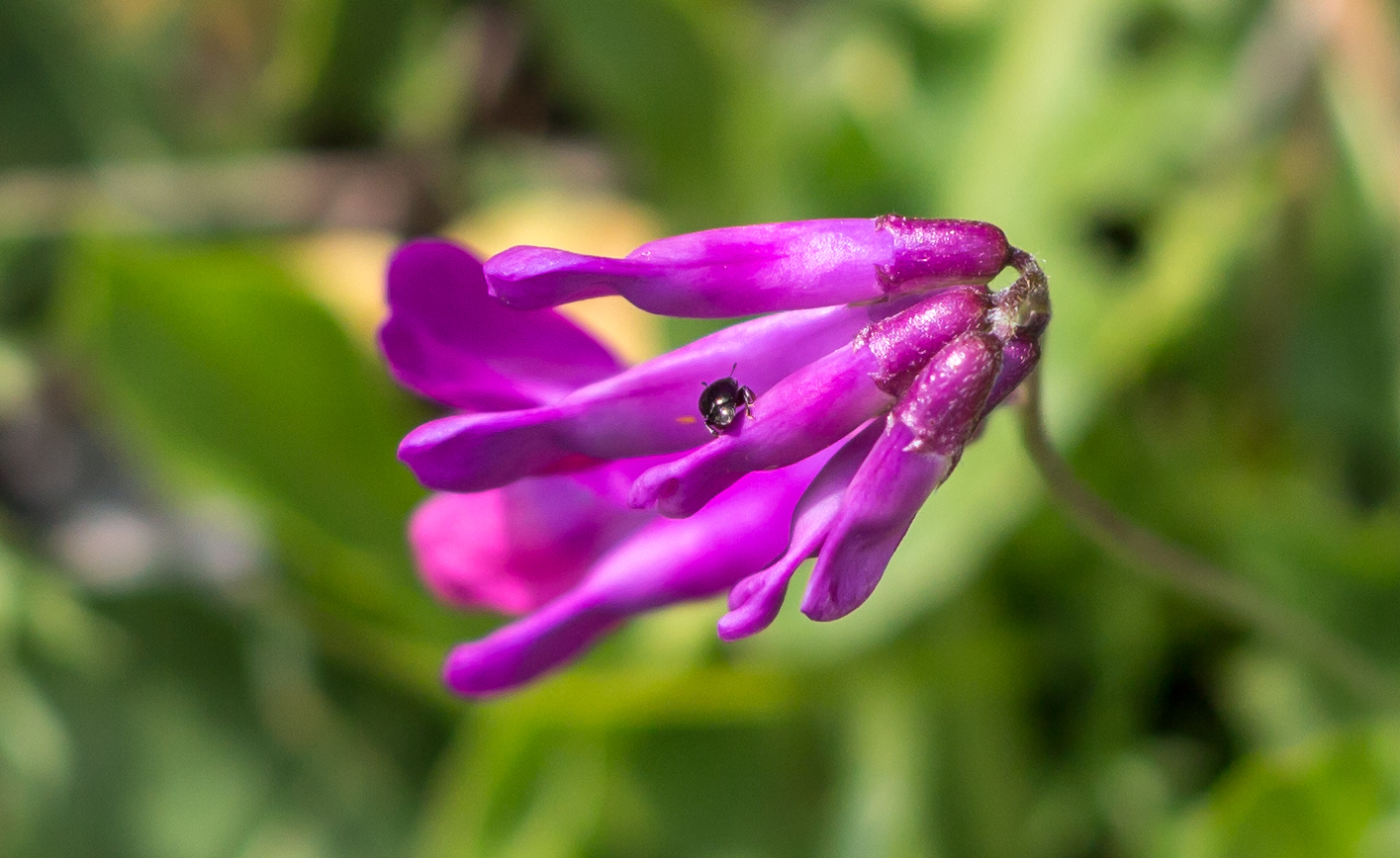 Поддерживаю бунд! | Пикабу