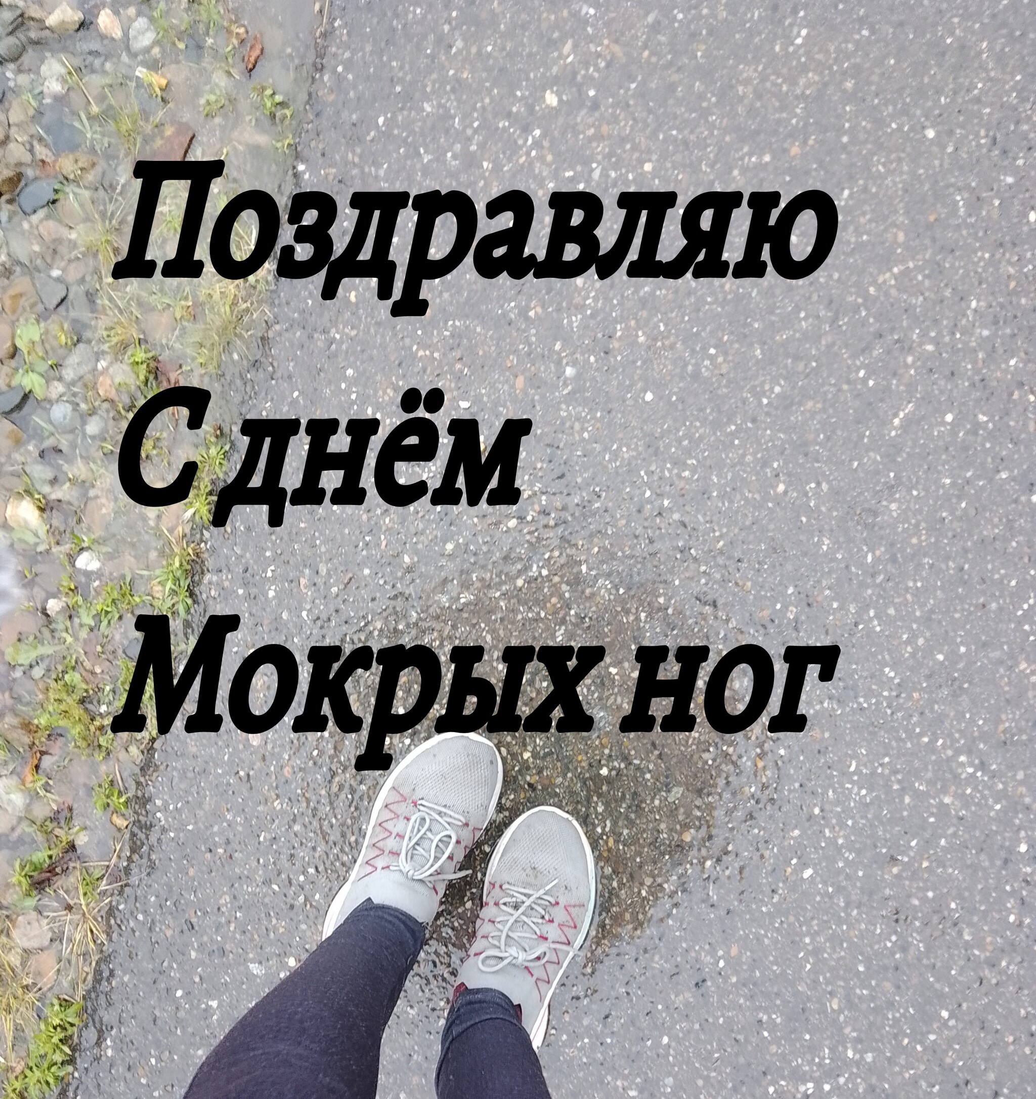 Праздник | Пикабу