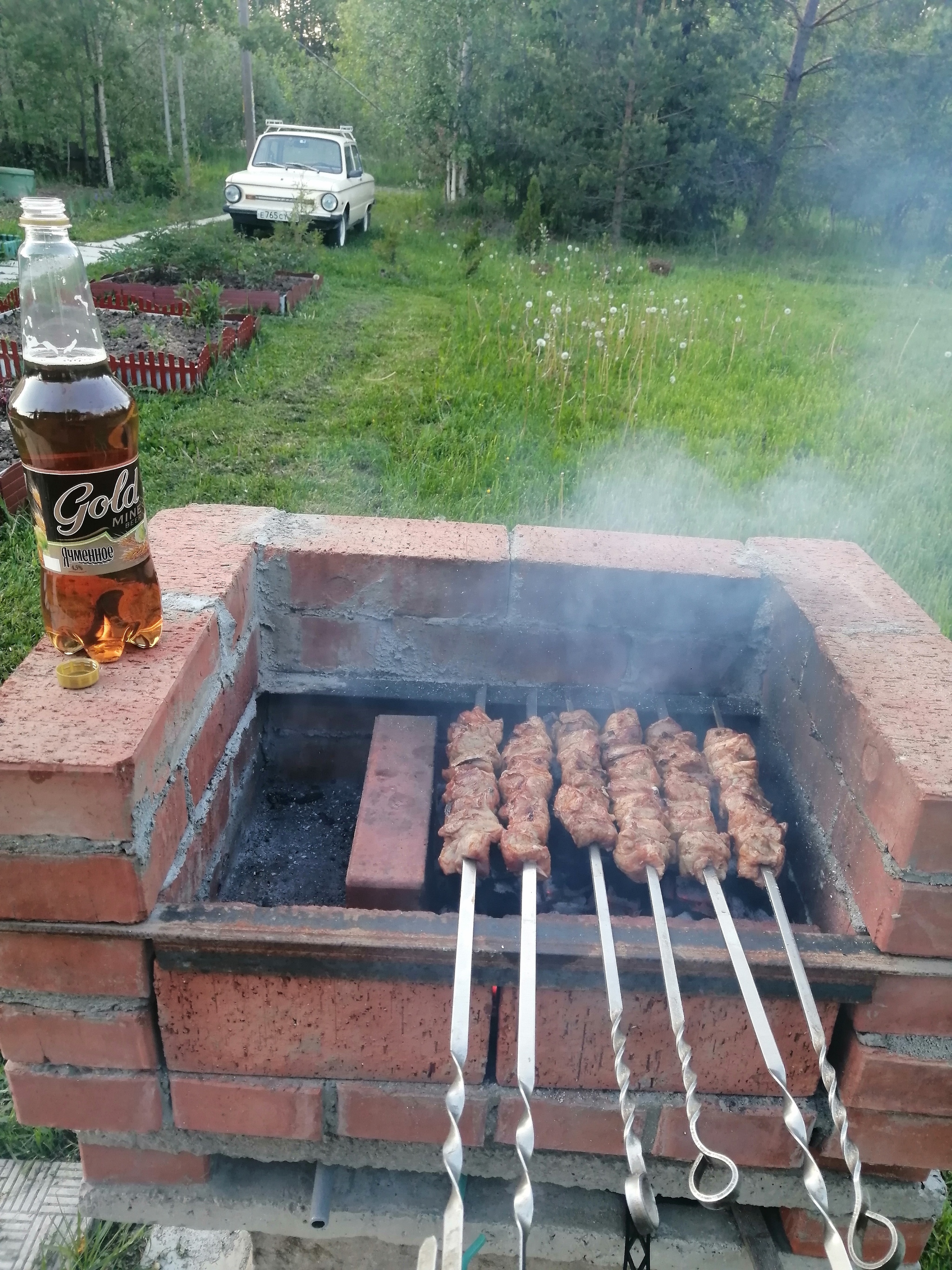 Шашлыки фото на мангале