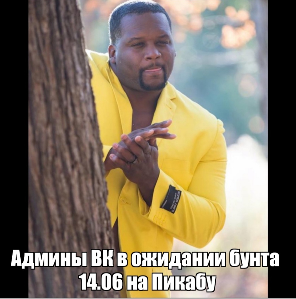 Ждут Пикабу