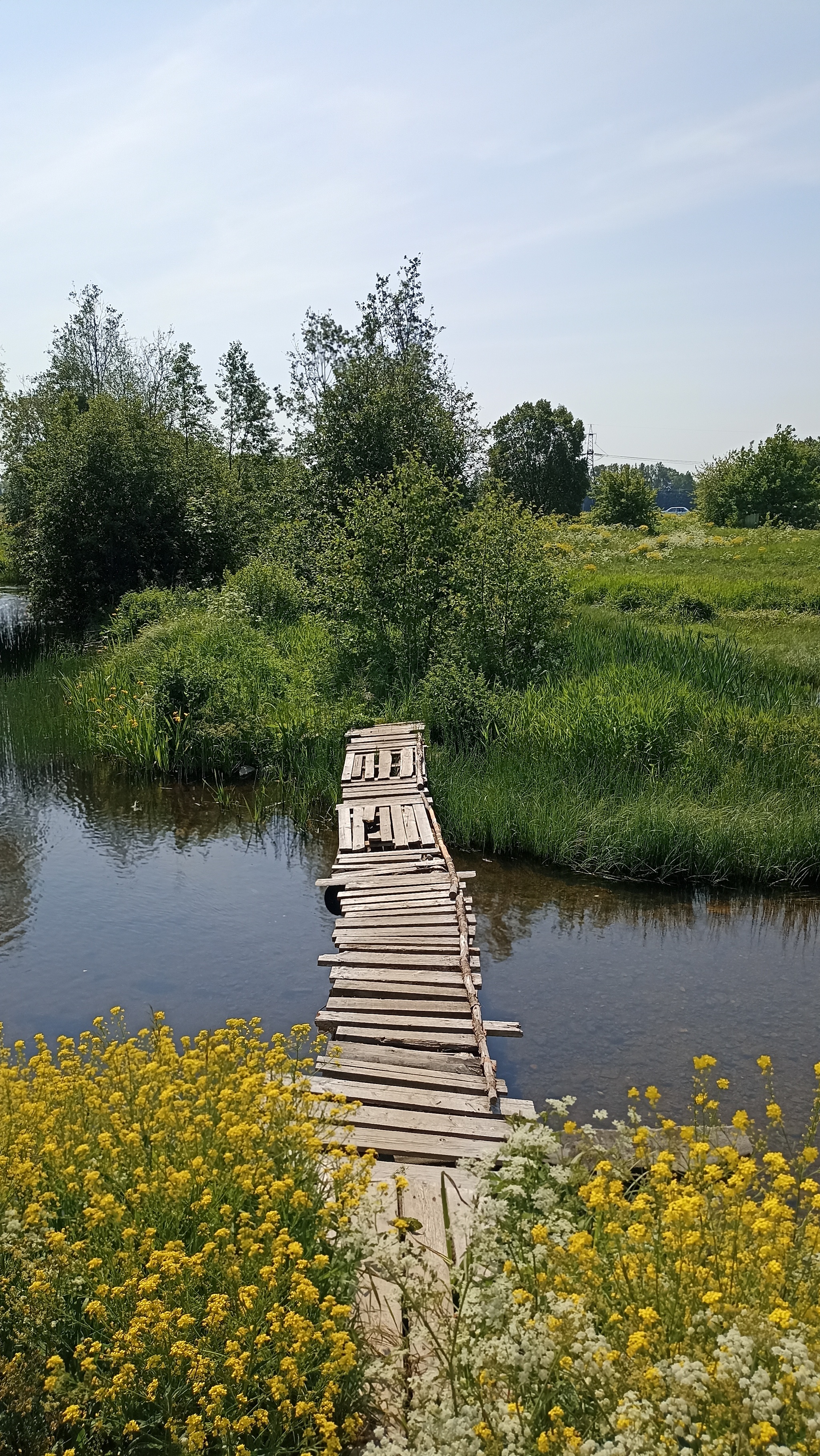 Старый мостик через старую речку: соединяет время и историю | Мобильная фотография | Дзен