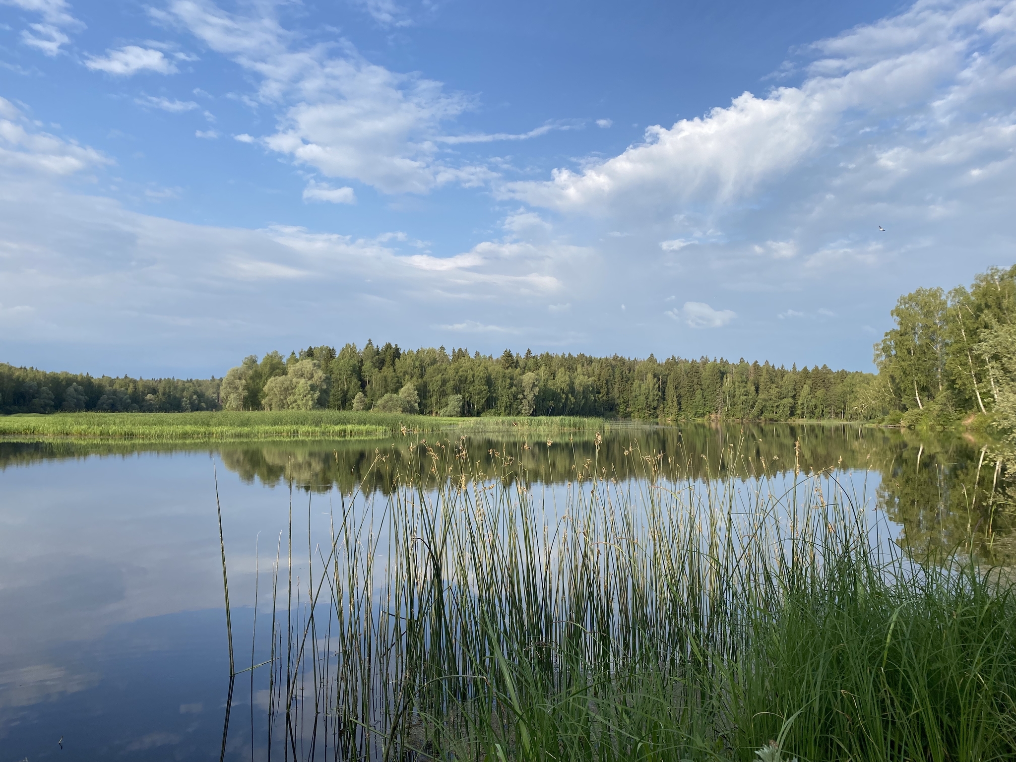 Река озерна фото