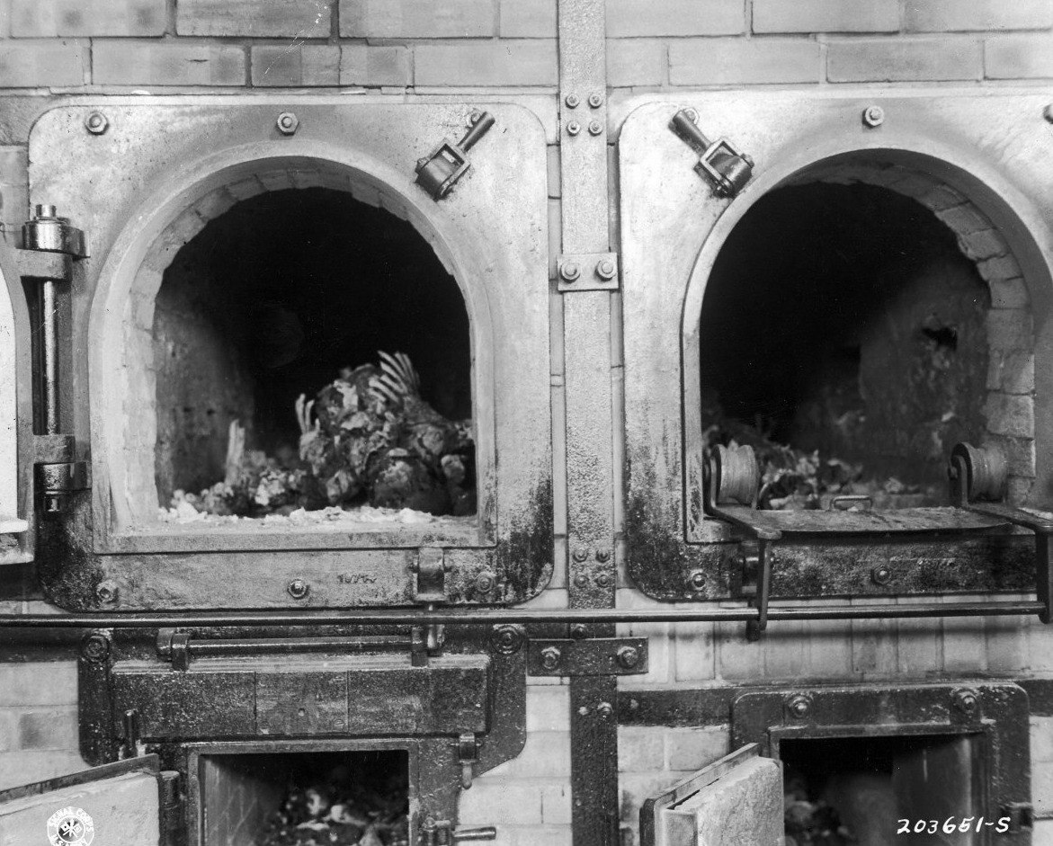 «Экскурсия» в Бухенвальд 1945 год | Пикабу