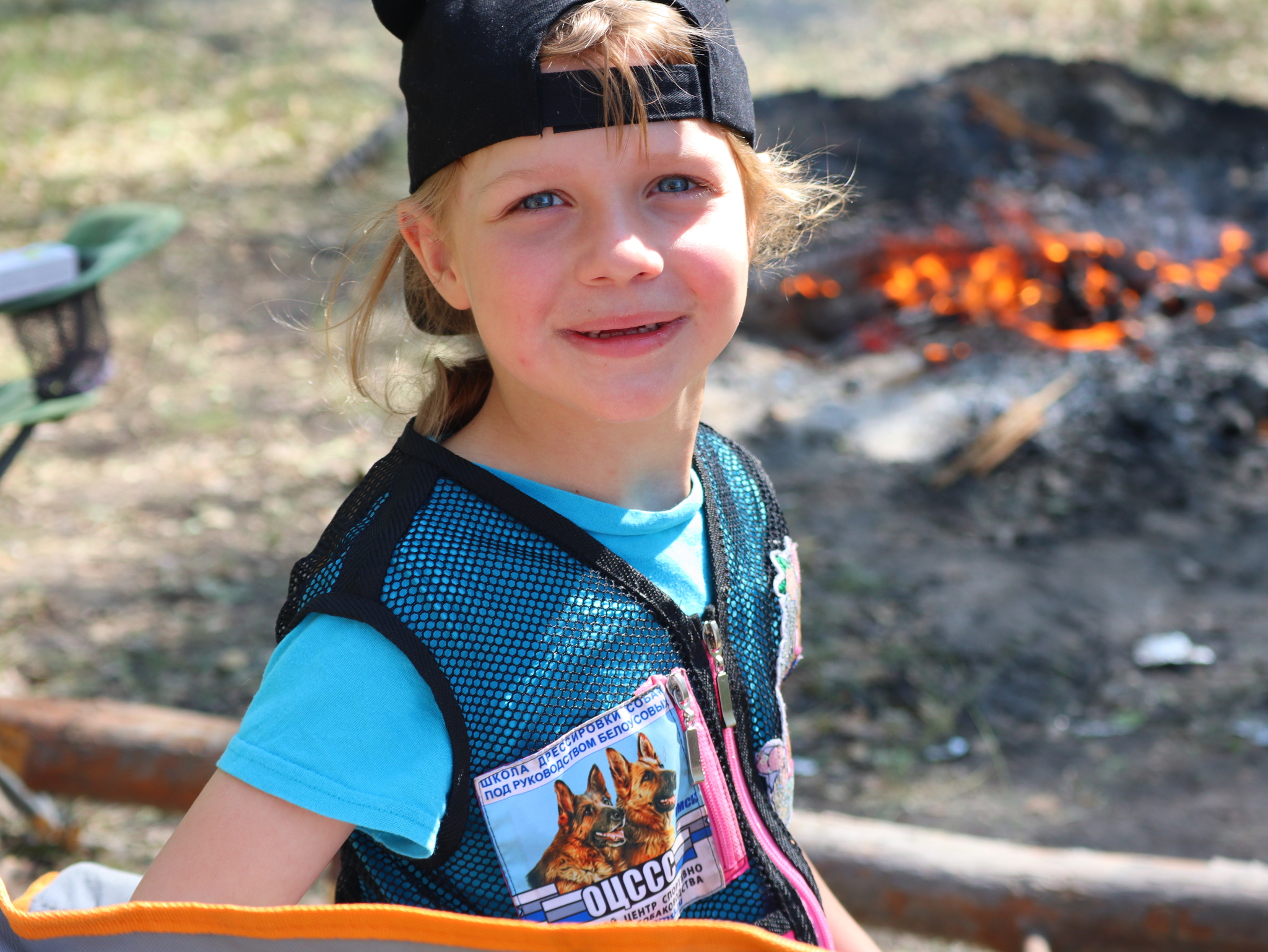 Дрессировка собак в Омске - ОЦССС | Пикабу