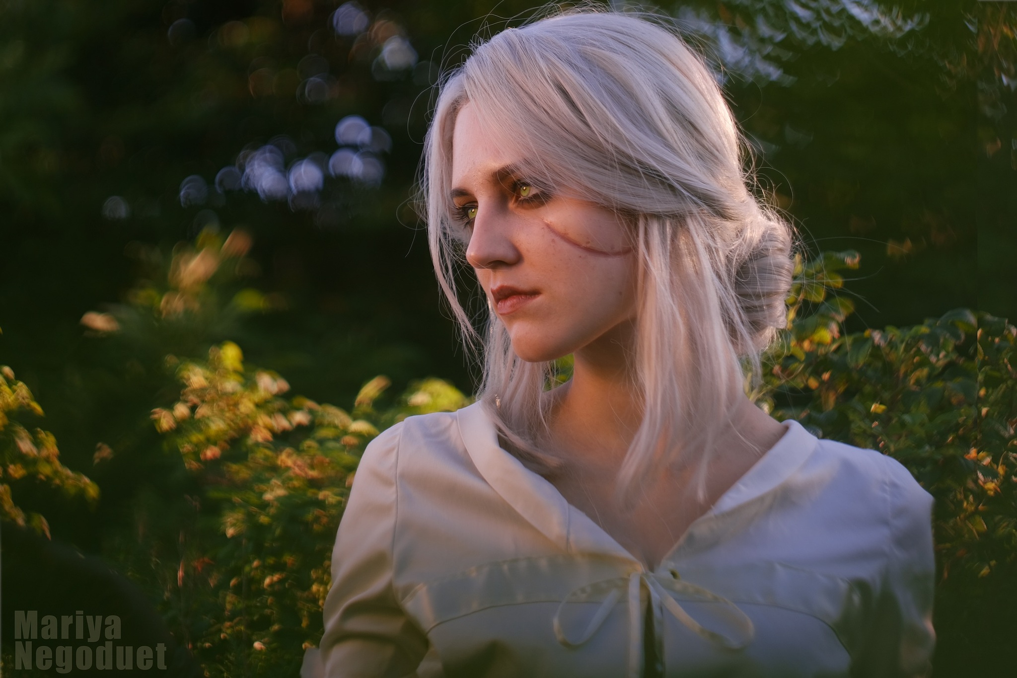 The Witcher 3 Ciri Пикабу 9321