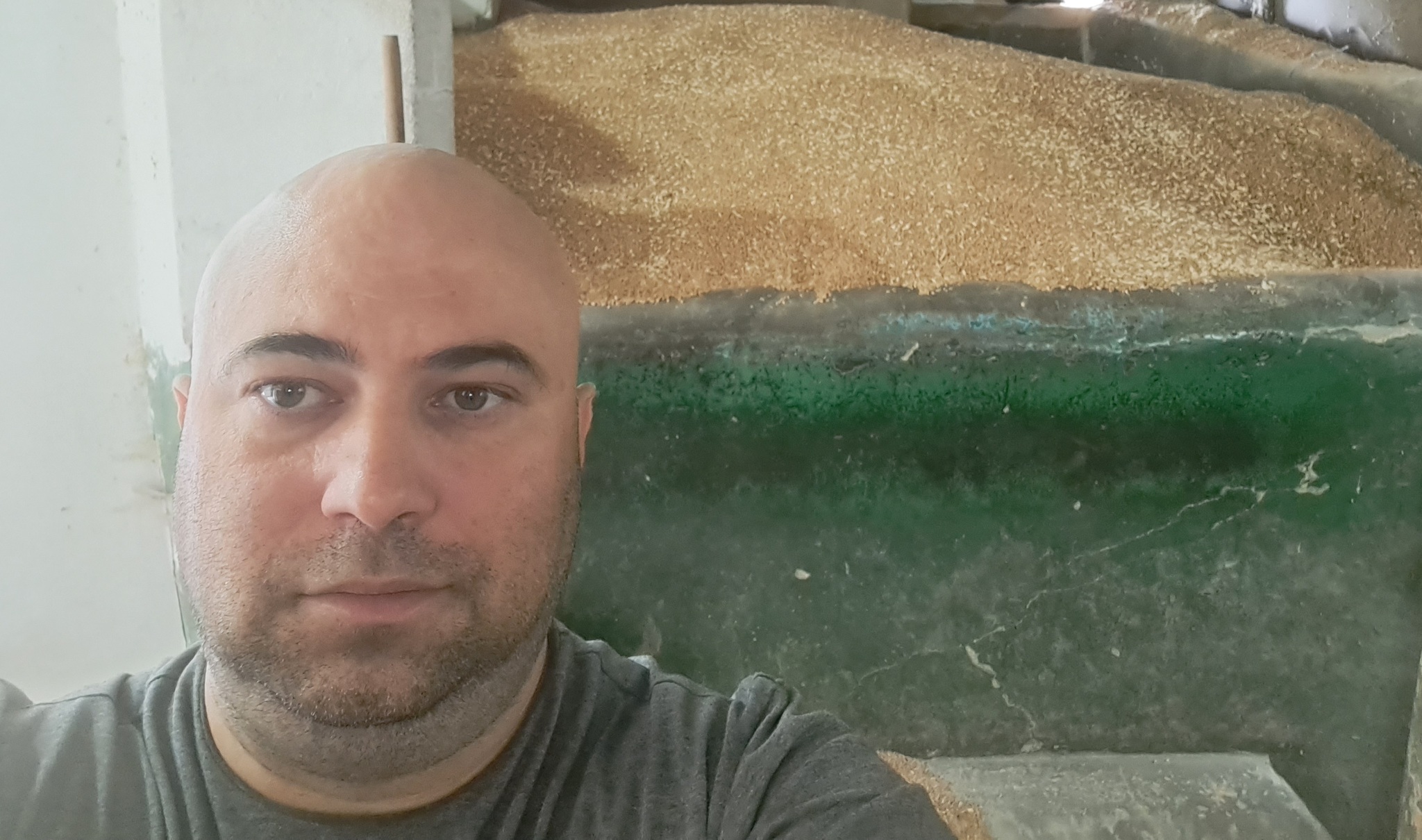 Моя работа. Делаем муку | Пикабу