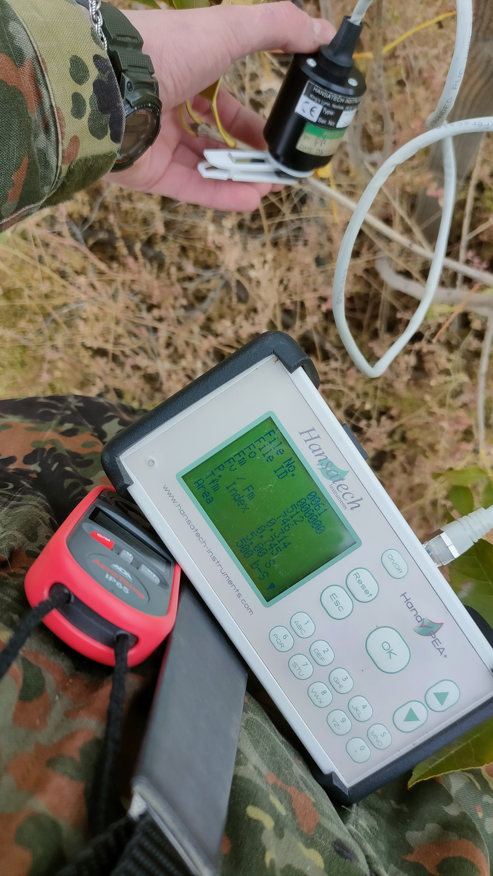 Биолог. Преподаватель - исследователь | Пикабу