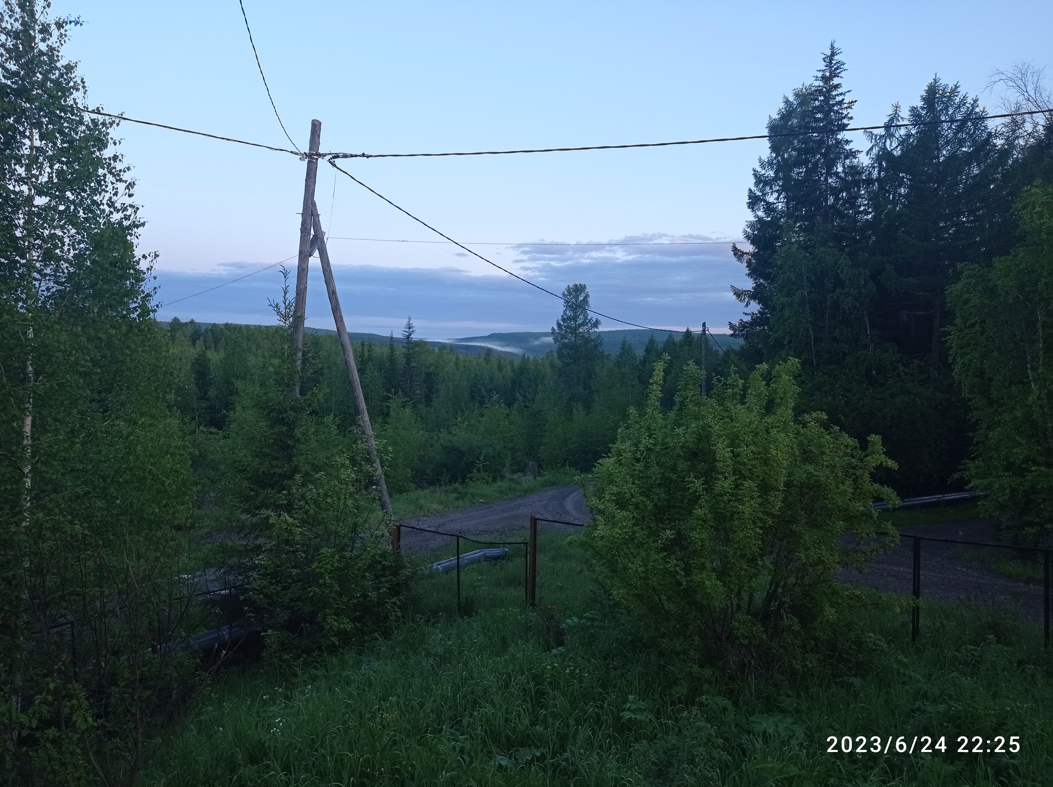 А из нашего окна зелень всякая видна | Пикабу