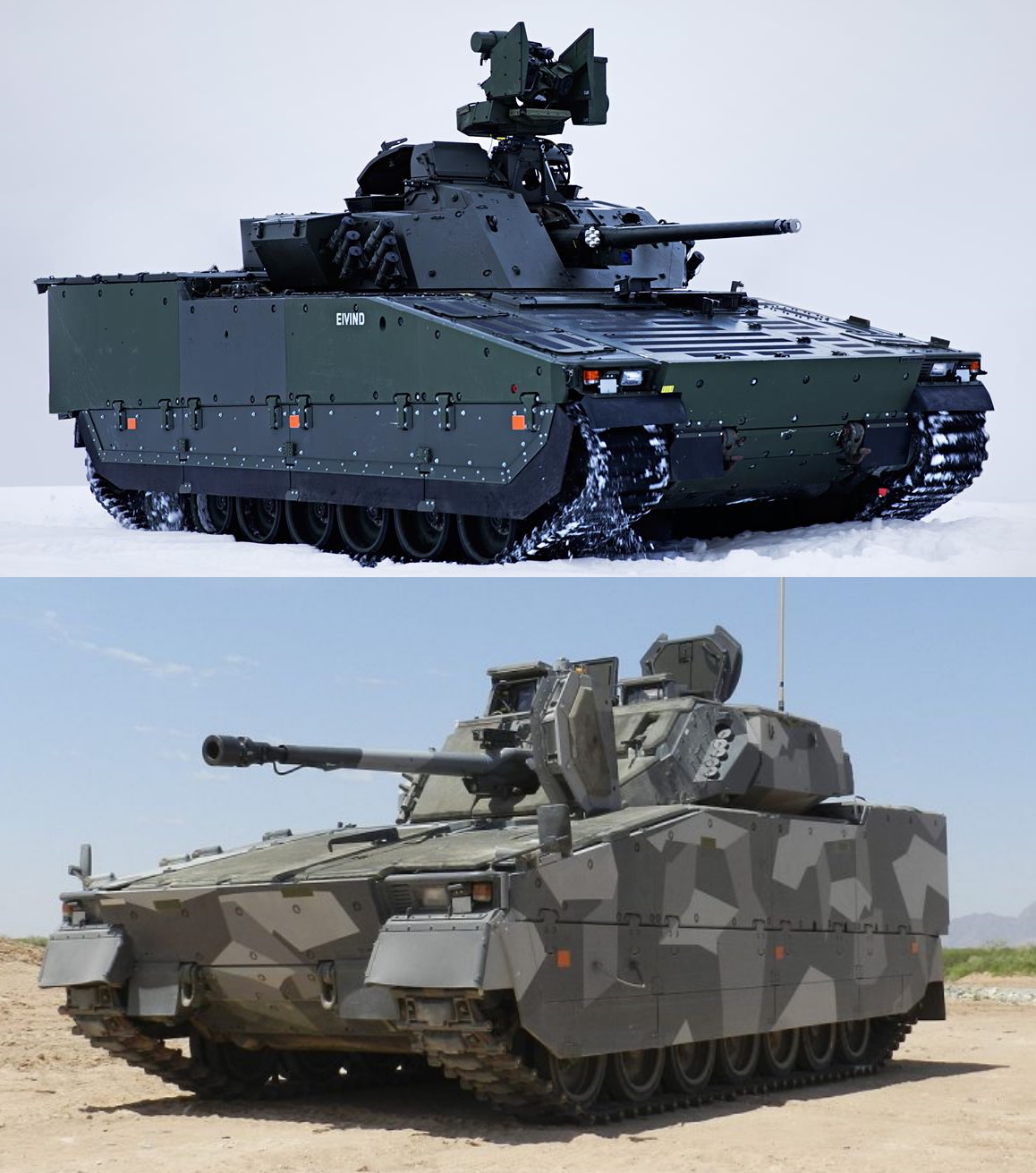 Характер стойкий, нордический. CV90-40C | Пикабу