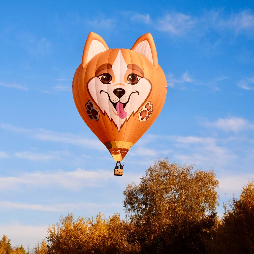 Самый милый воздушный шар | Пикабу