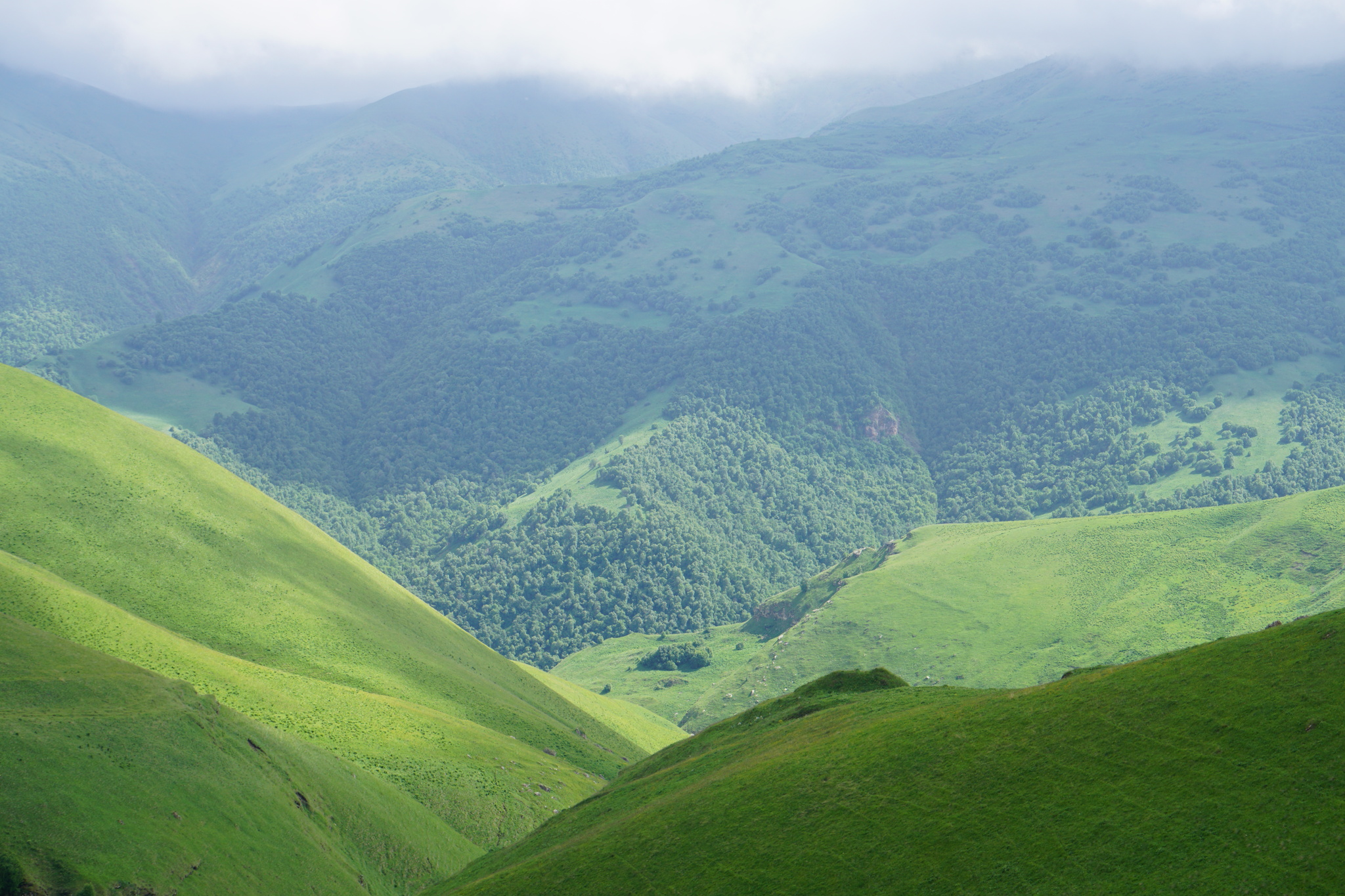 Внедорожное приключение на Кавказе | Пикабу