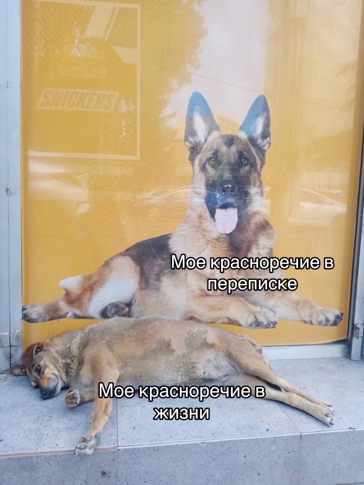 Красноречие | Пикабу
