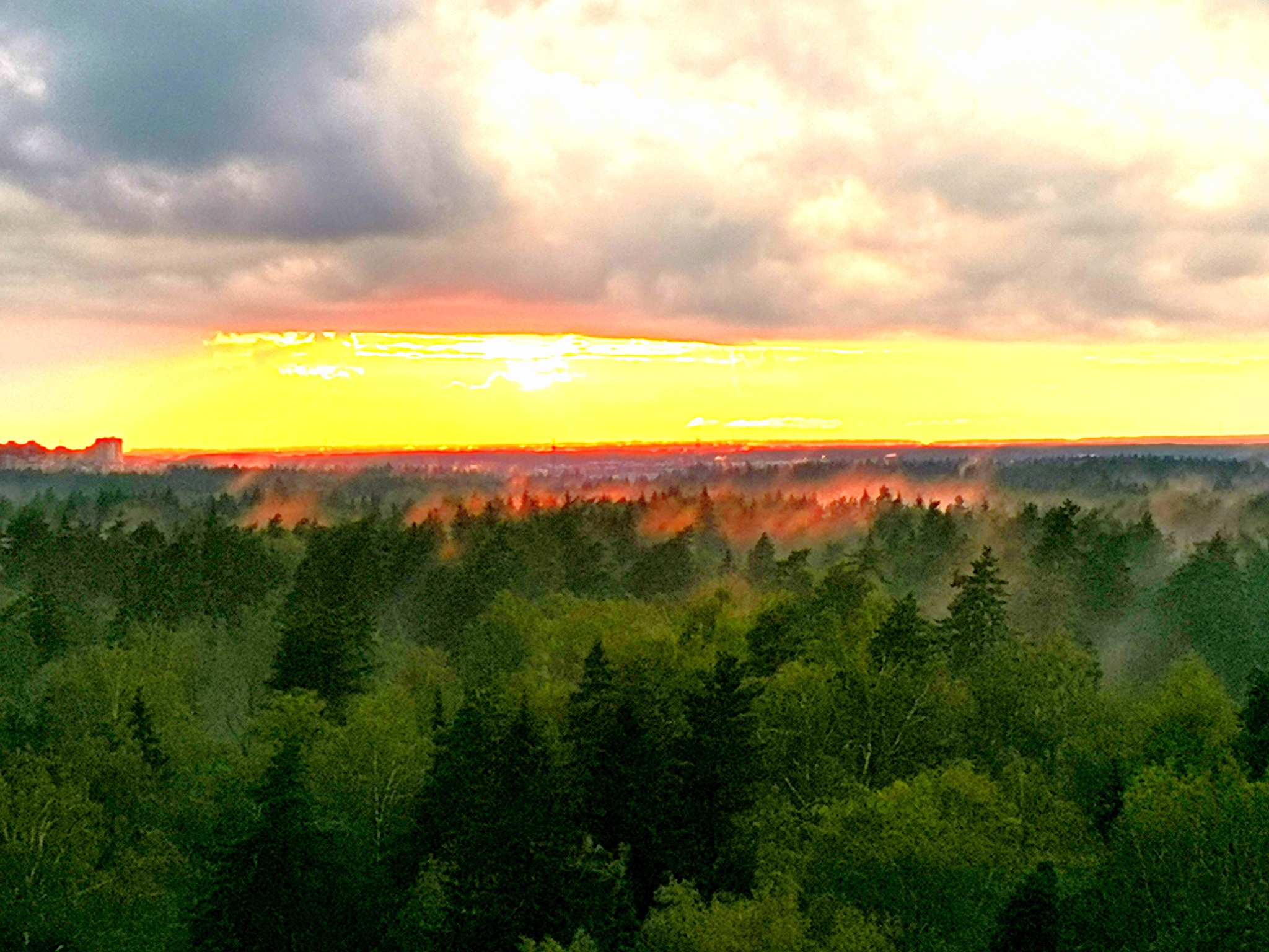 После дождя* | Пикабу