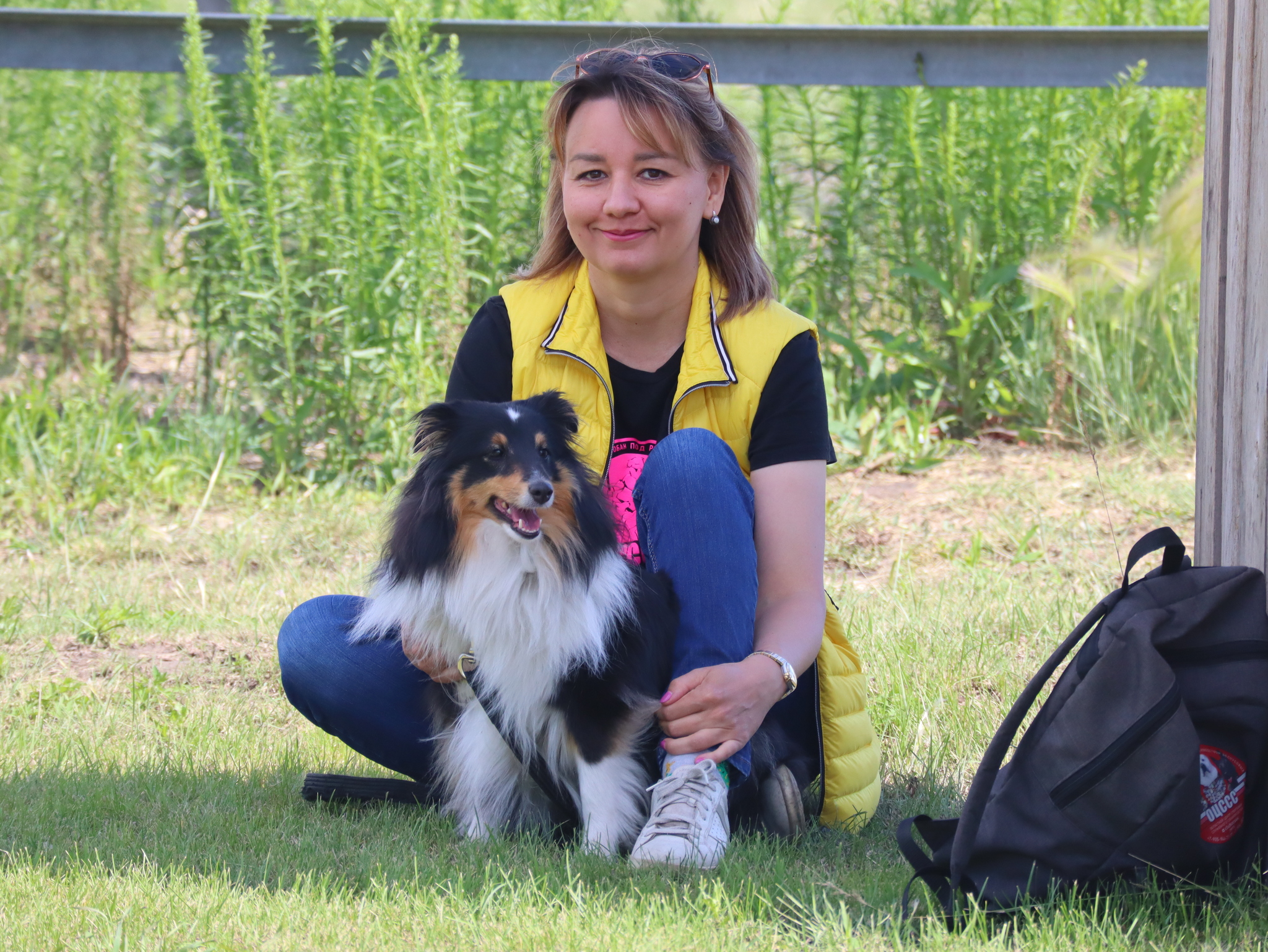 Дрессировка собак в Омске - ОЦССС! | Пикабу