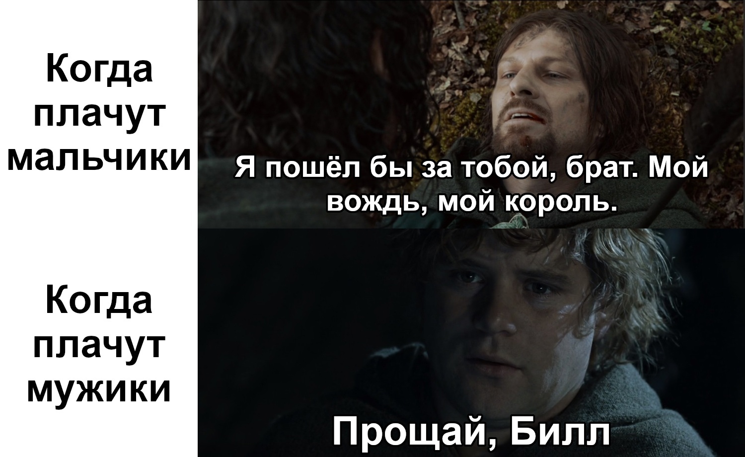 Храбрейший пони | Пикабу