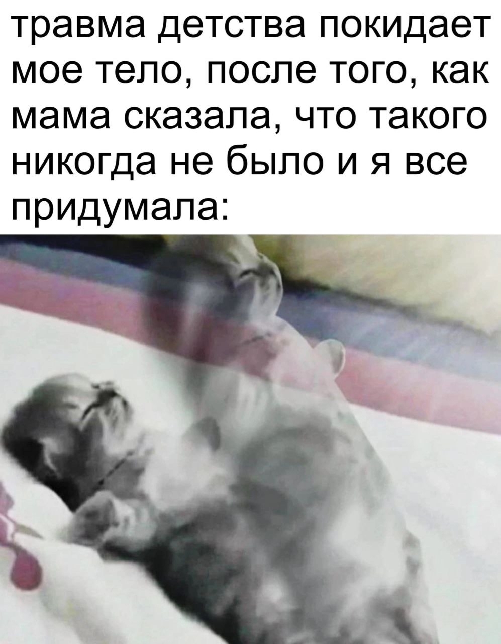 Не было такого | Пикабу