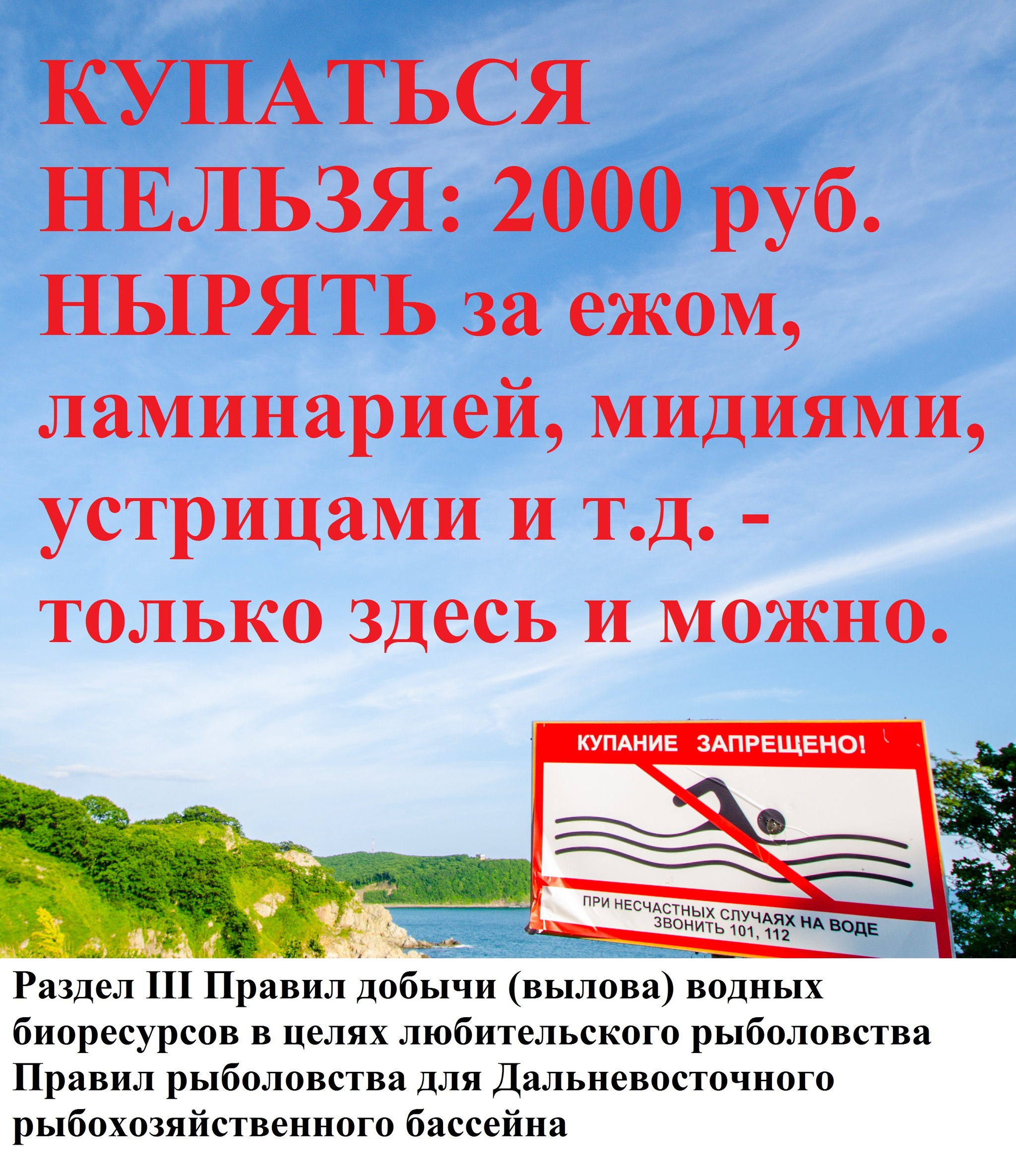 Штраф за купание на пляже: как не платить, сэкономить и избежать  составления протокола об административном правонарушении | Пикабу