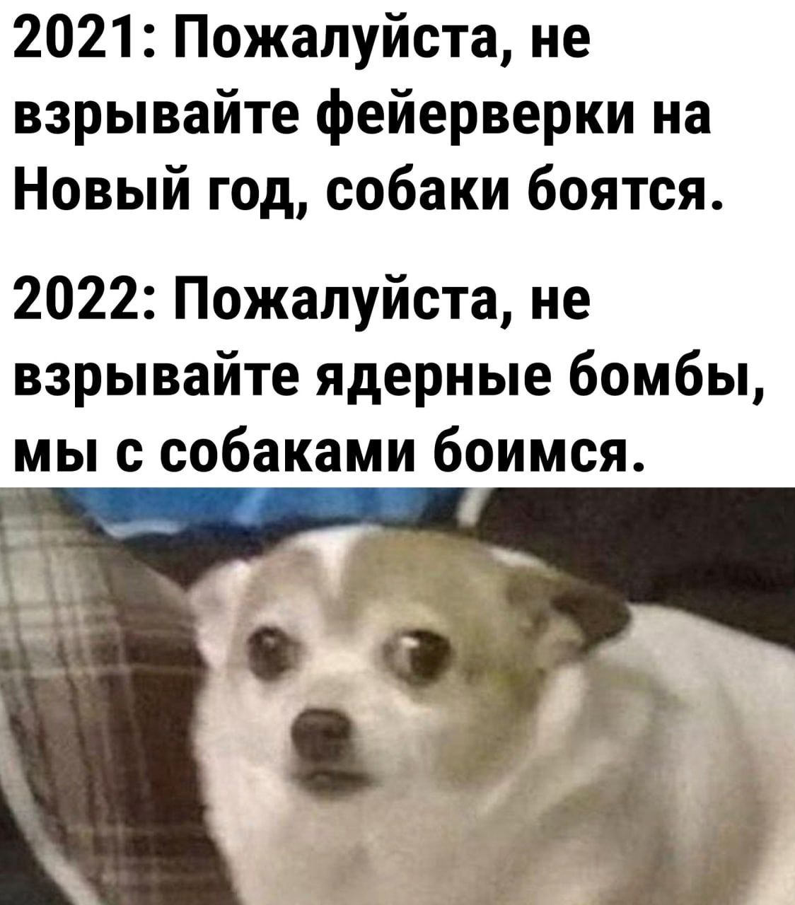 Мемы | Пикабу