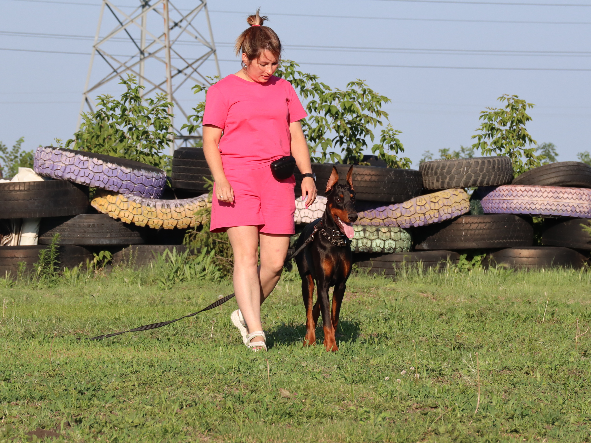 Дрессировка собак в Омске - ОЦССС! | Пикабу