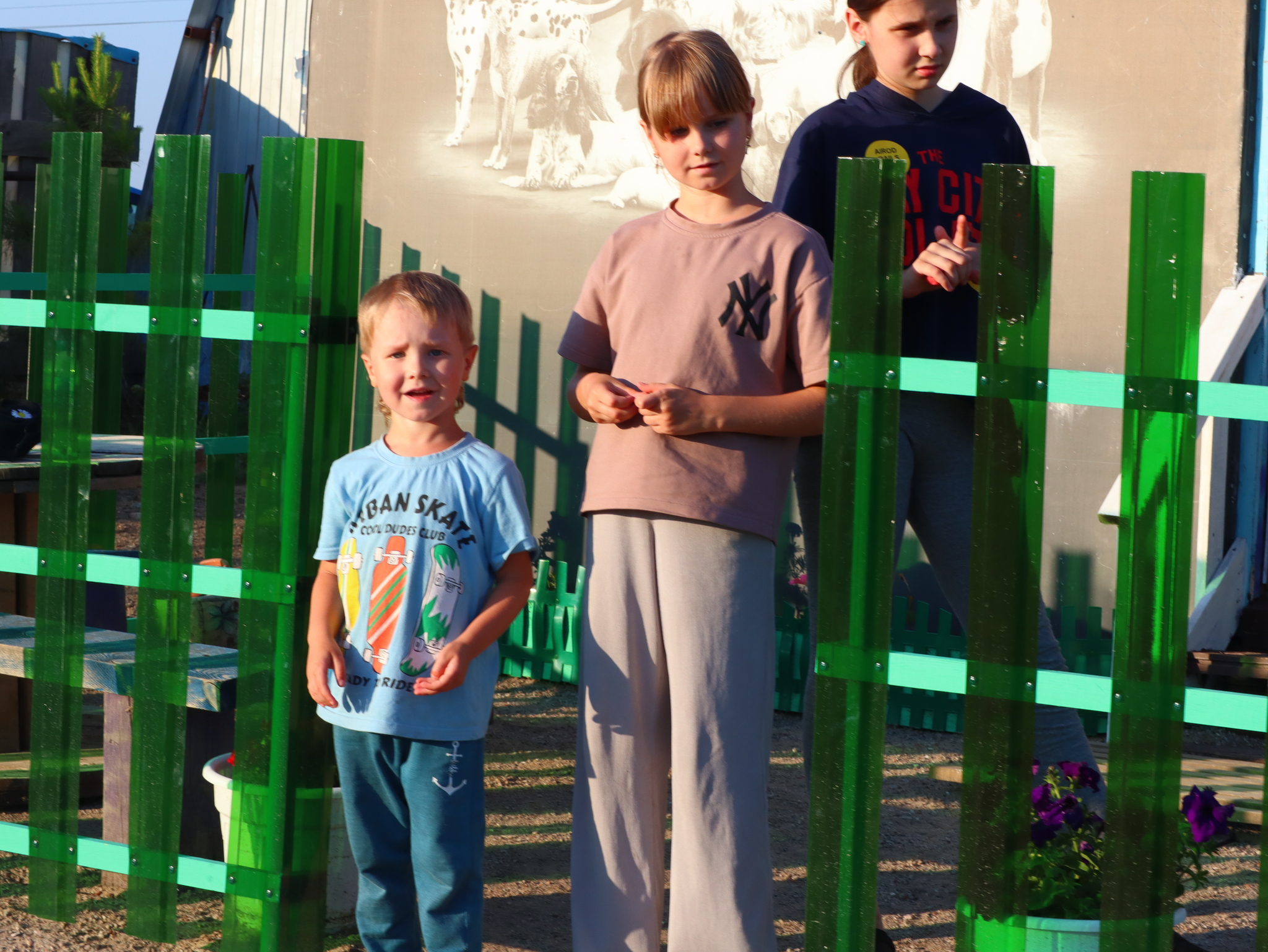 Дрессировка собак в Омске - ОЦССС! | Пикабу