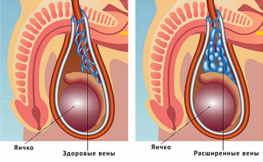 Физиологические изменения в организме женщины при беременности | «За Рождение» Киров